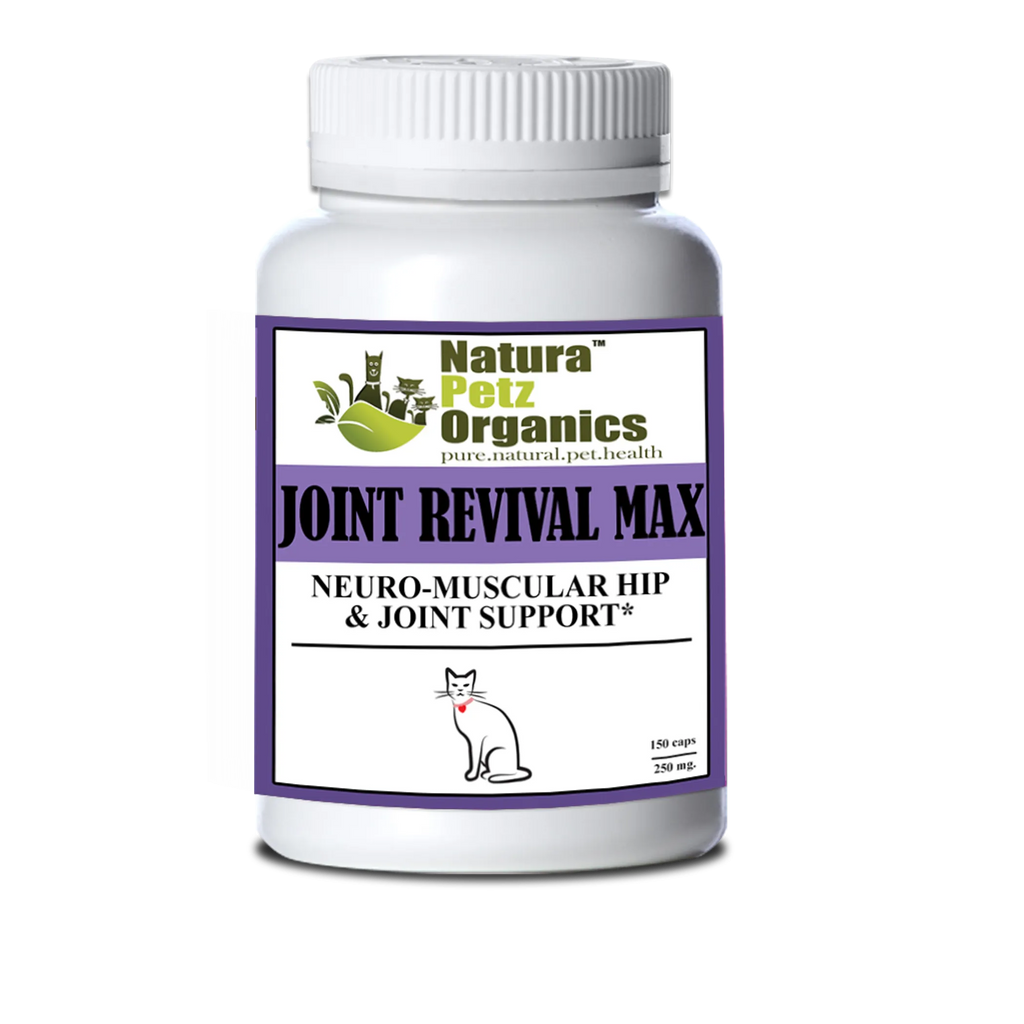 4APAWS™Joint Revival Max Master Blend Capsules* Neuro Muscular Hip & Joint Support* Master Blend for Dogs & Cats*