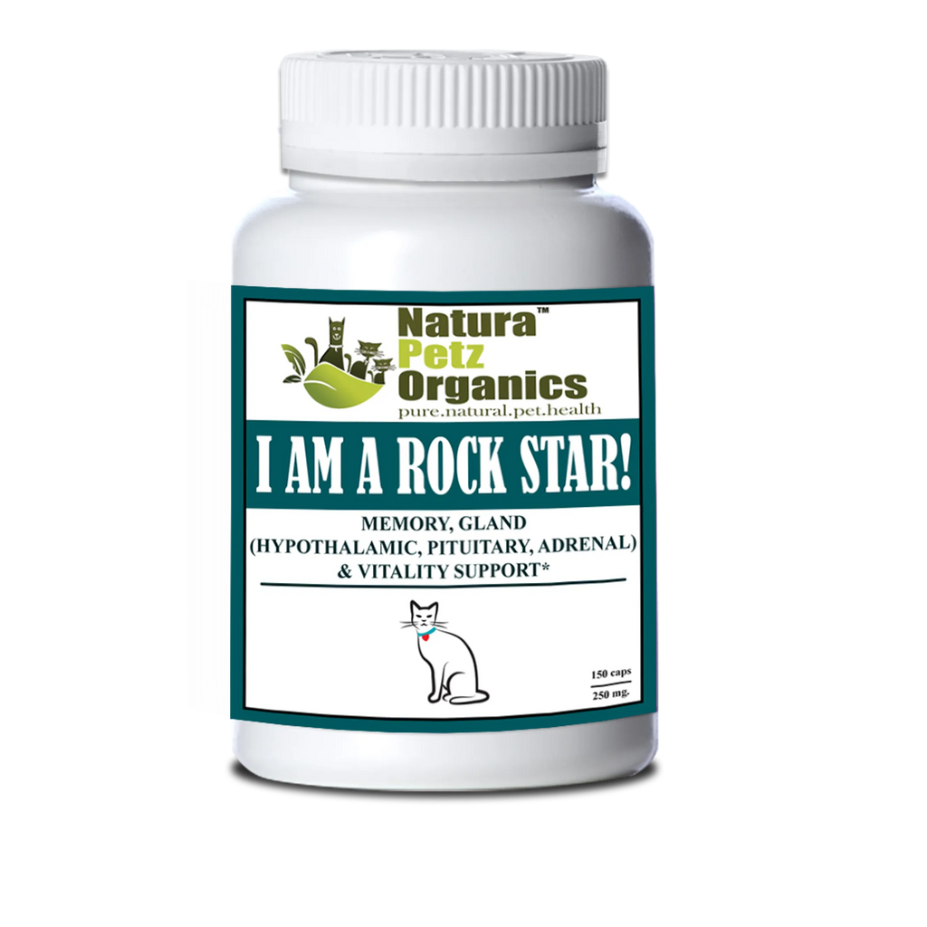 4APAWS™I Am a Rock Star - Memory, Gland (Hypothalamic, Pituitary and Adrenal) & Vitality Support*
