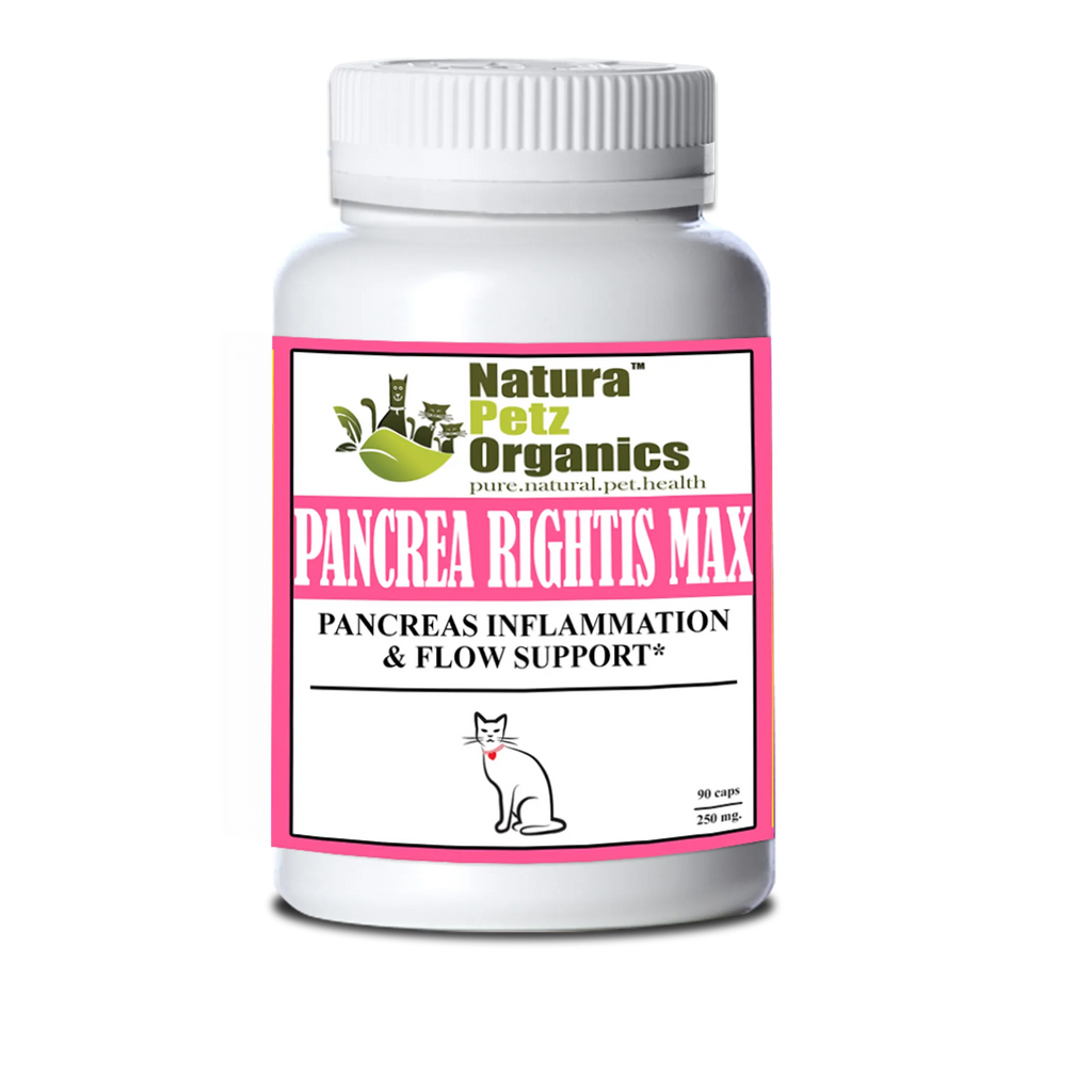 4APAWS™Pancrea Rightis Max Support* Capsules Pancreas Inflammation & Flow Support Dogs Cats*