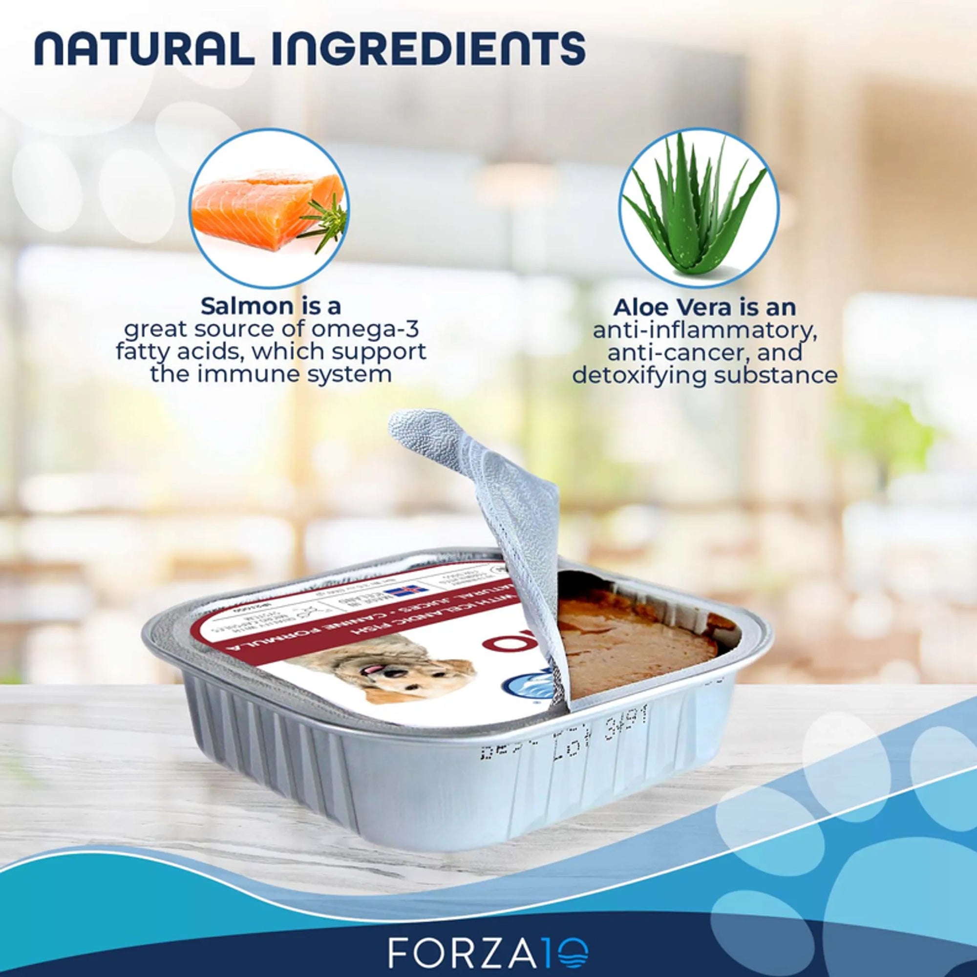 4APAWS™Forza10 ActiWet Dermo Icelandic Fish Recipe Canned Dog Food
