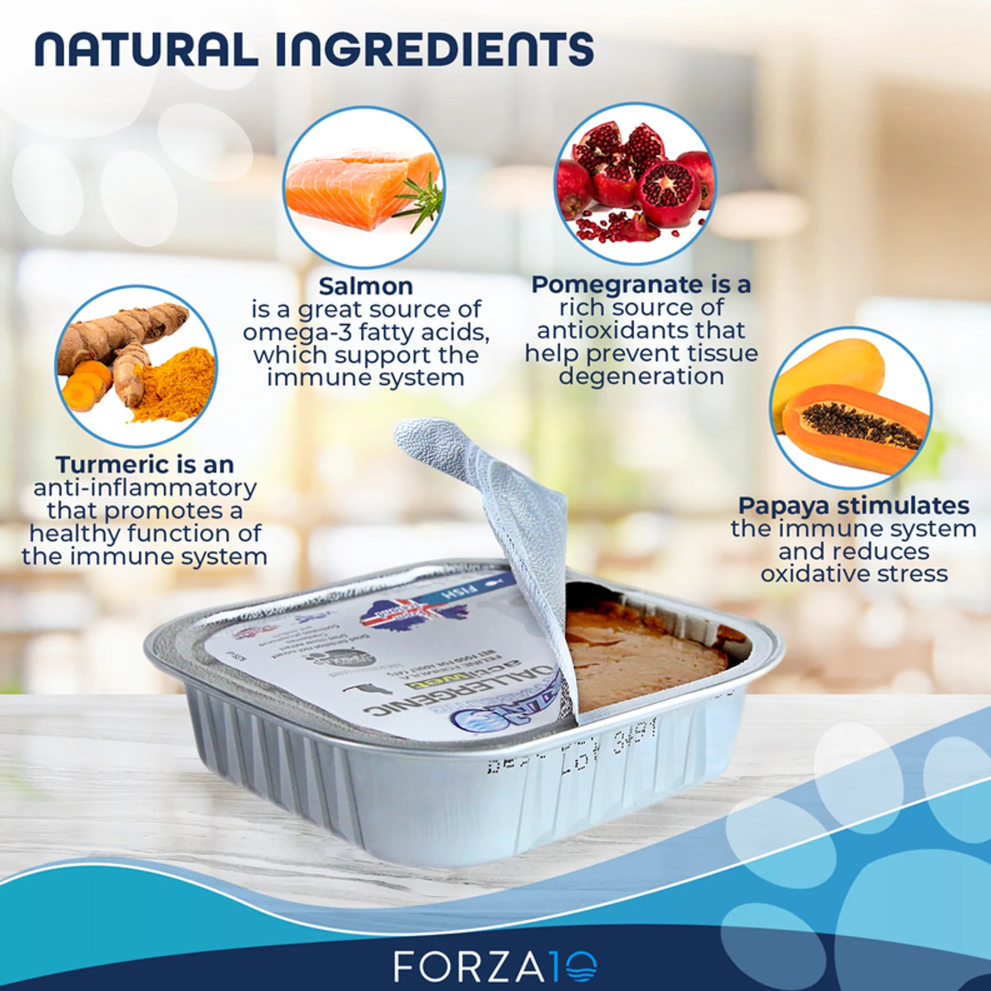 4APAWS™Forza10 Actiwet Hypoallergenic Icelandic Fish Recipe Canned Cat Food