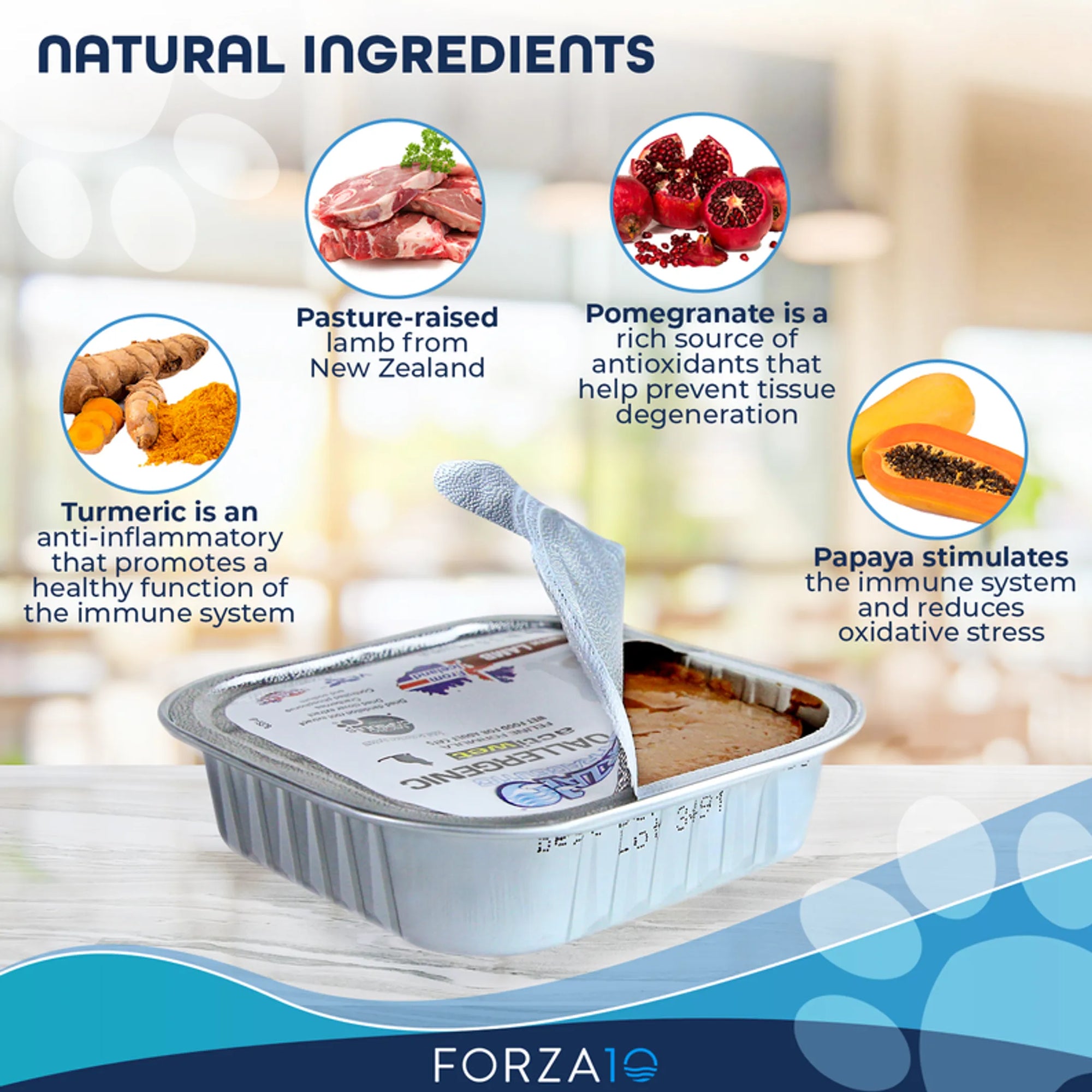 4APAWS™Forza10 Actiwet Hypoallergenic Canned Cat Food