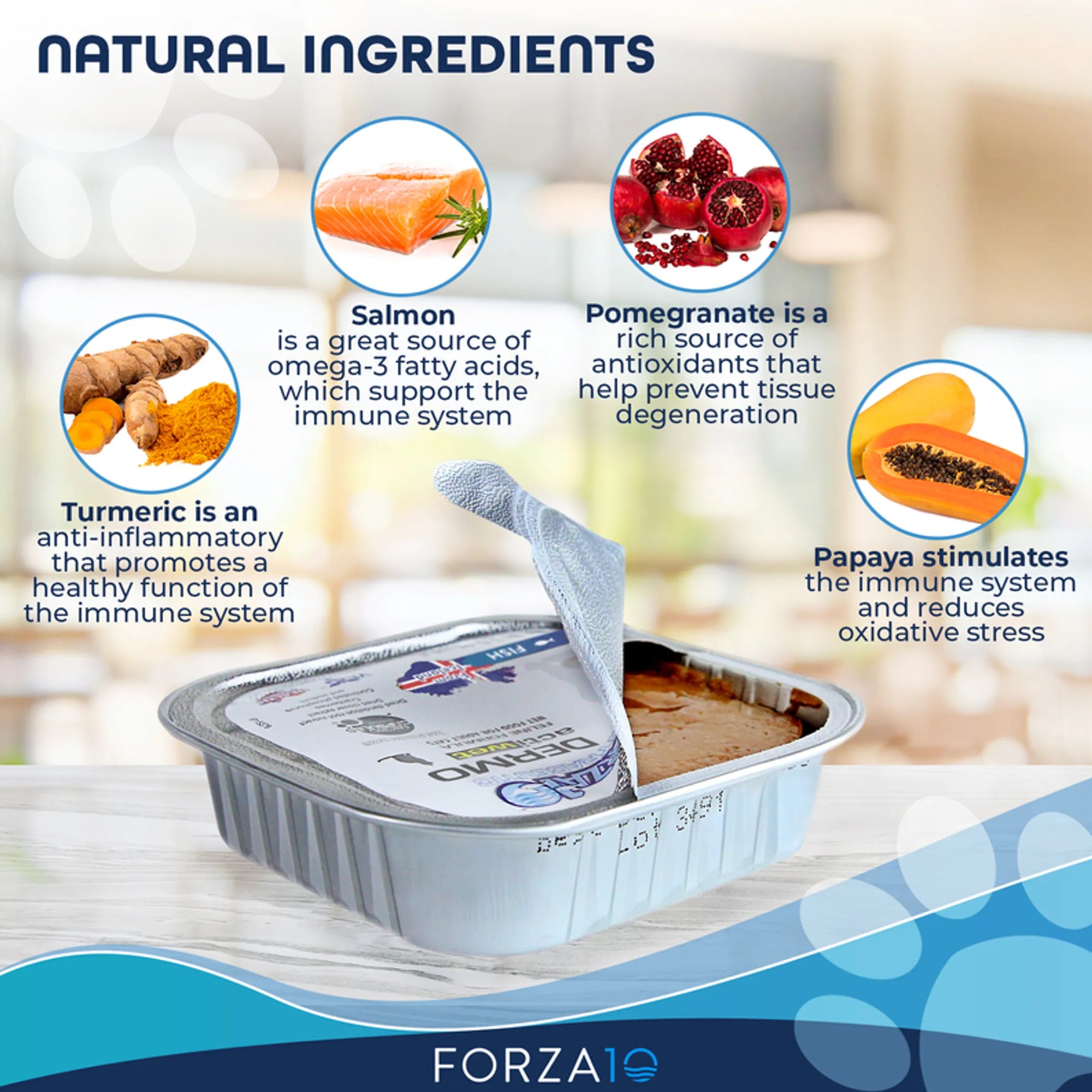 4APAWS™Forza10 ActiWet Dermo Support Icelandic Fish Recipe Canned Cat Food