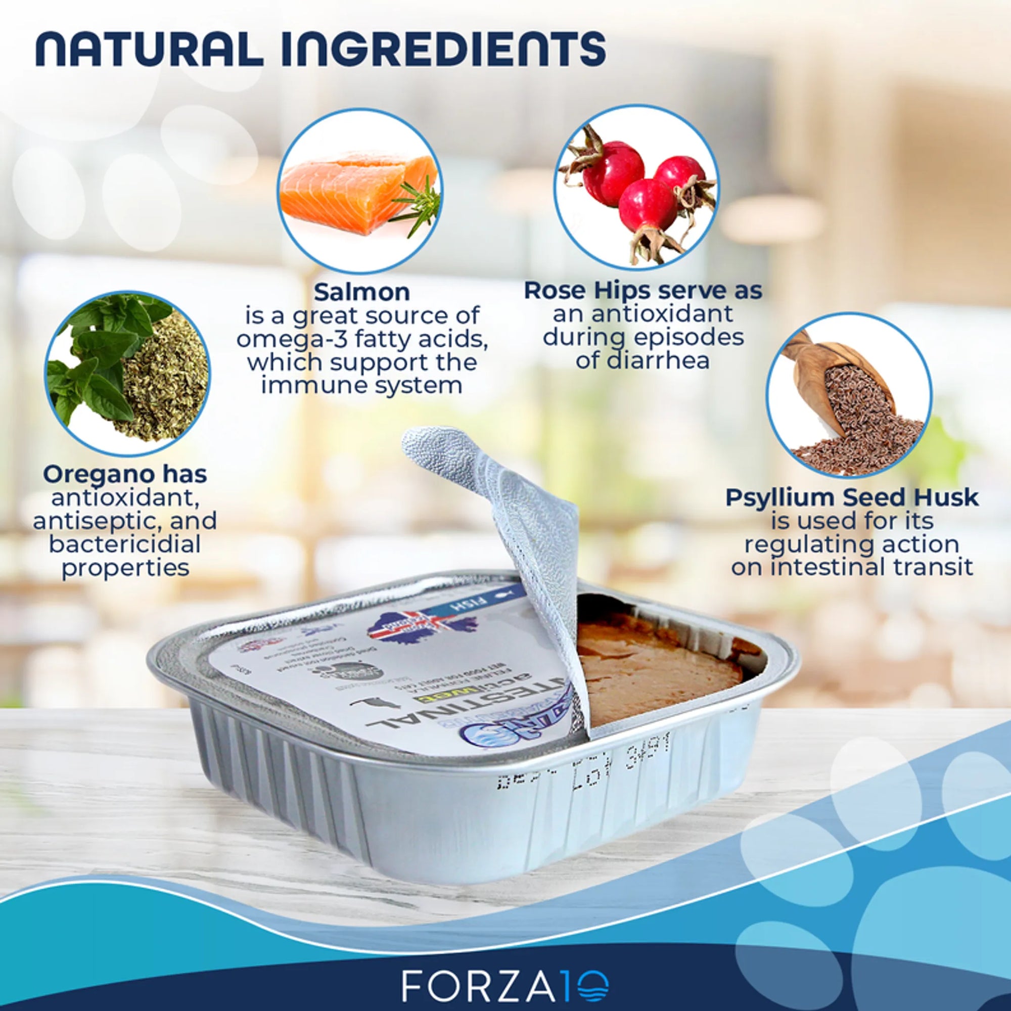 4APAWS™Forza10 Actiwet Intestinal Support Icelandic Fish Recipe Canned Cat Food