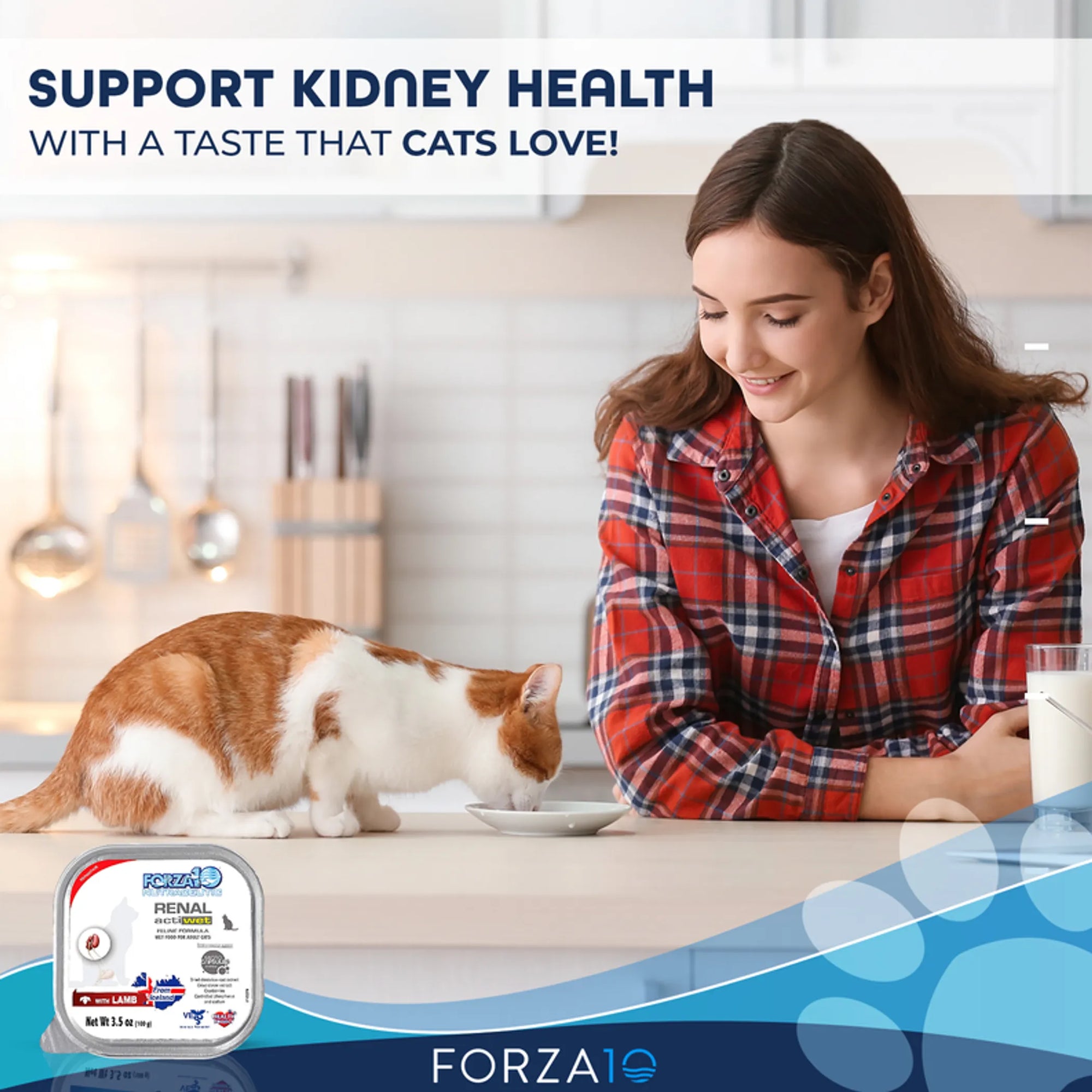 4APAWS™Forza10 Actiwet Renal Support Canned Cat Food