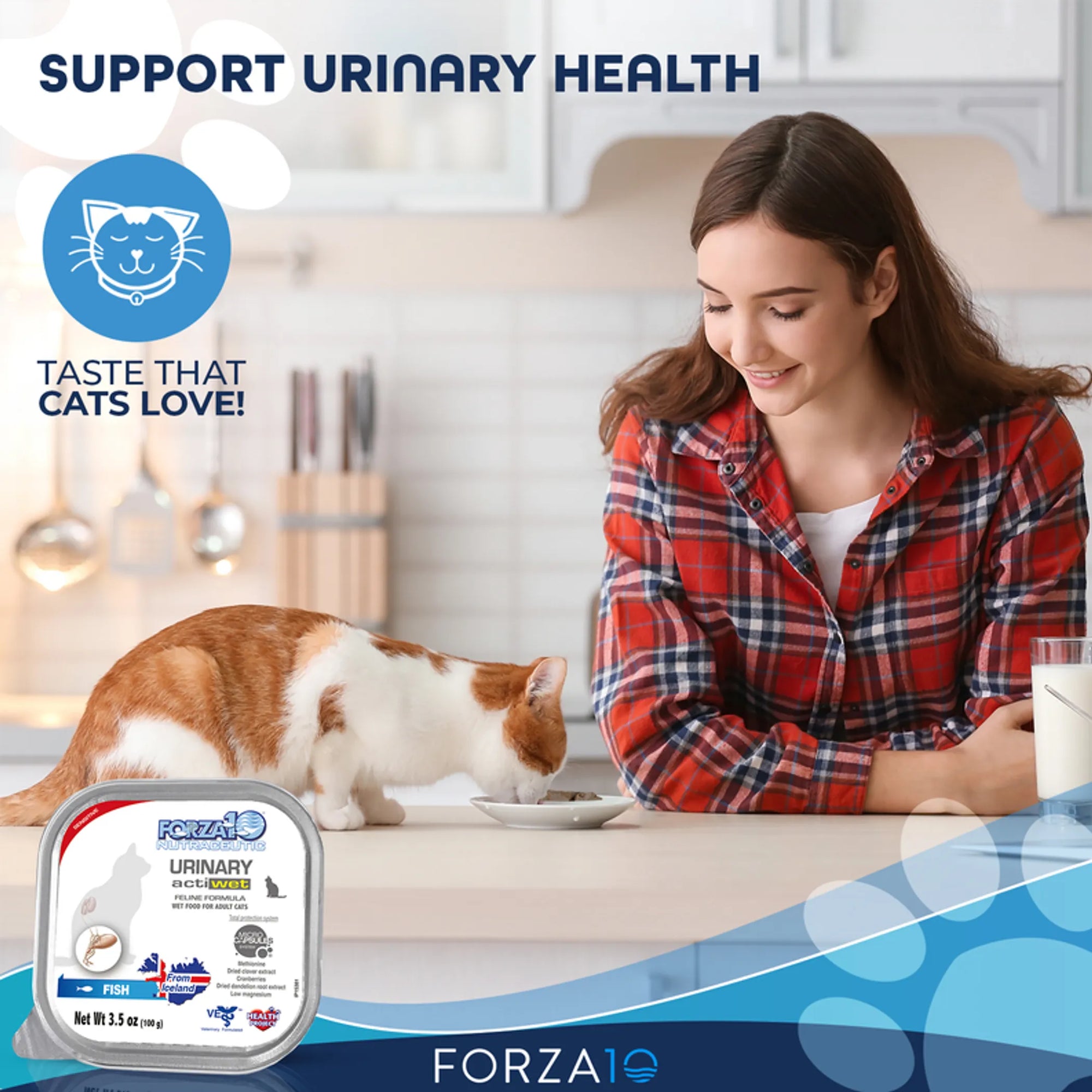 4APAWS™Forza10 Actiwet Urinary Support Icelandic Fish Recipe Canned Cat Food