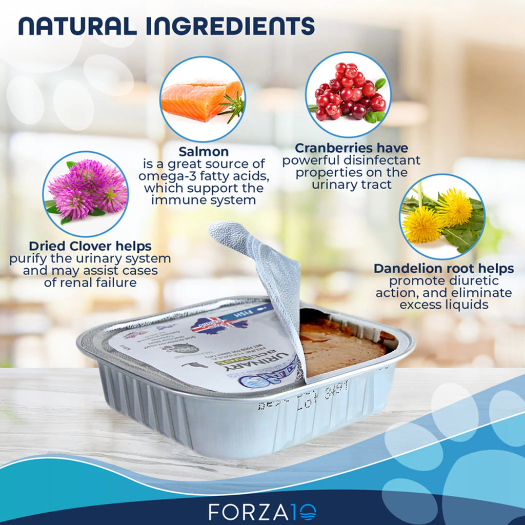 4APAWS™Forza10 Actiwet Urinary Support Icelandic Fish Recipe Canned Cat Food