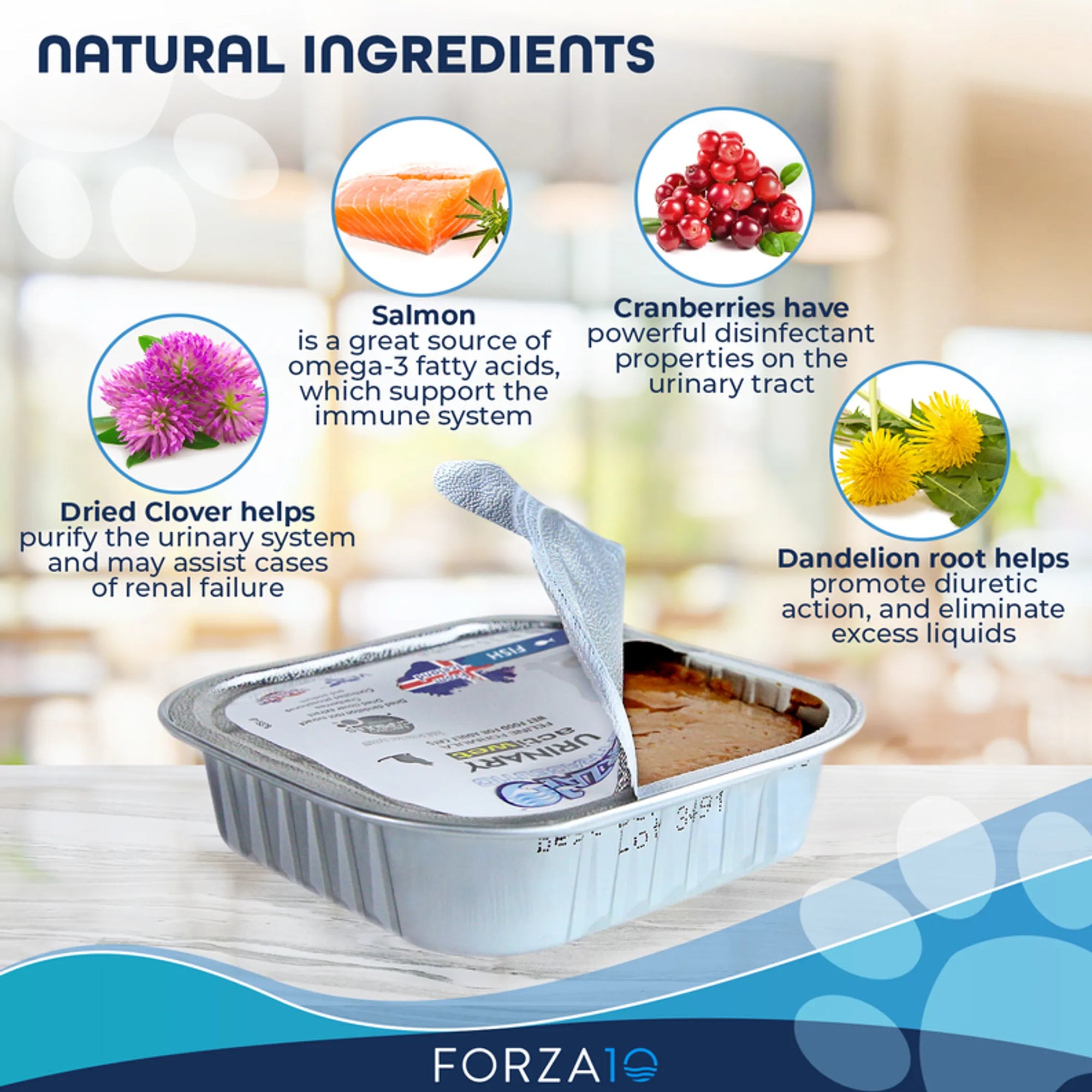 4APAWS™Forza10 Actiwet Urinary Support Icelandic Fish Recipe Canned Cat Food