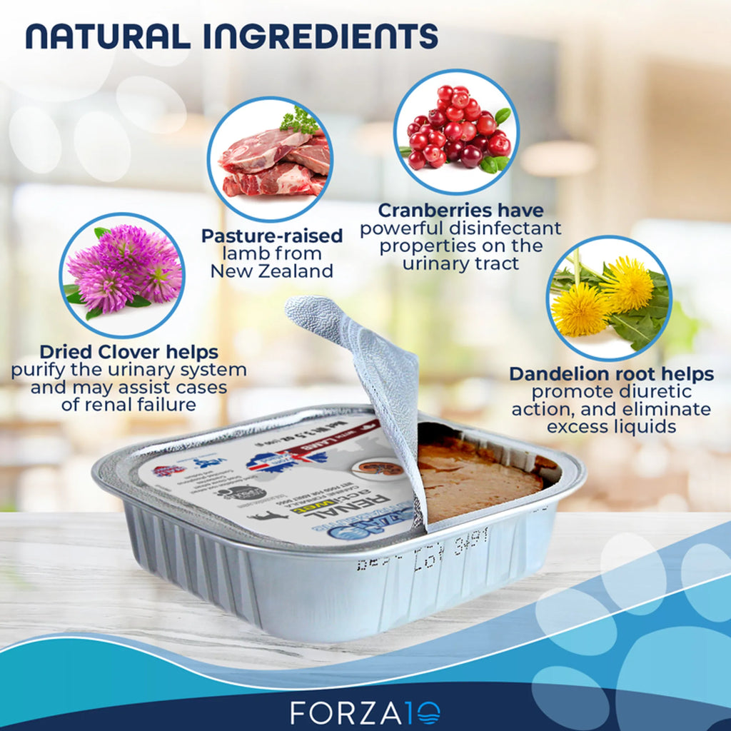 4APAWS™Forza10 Actiwet Renal Support Canned Dog Food