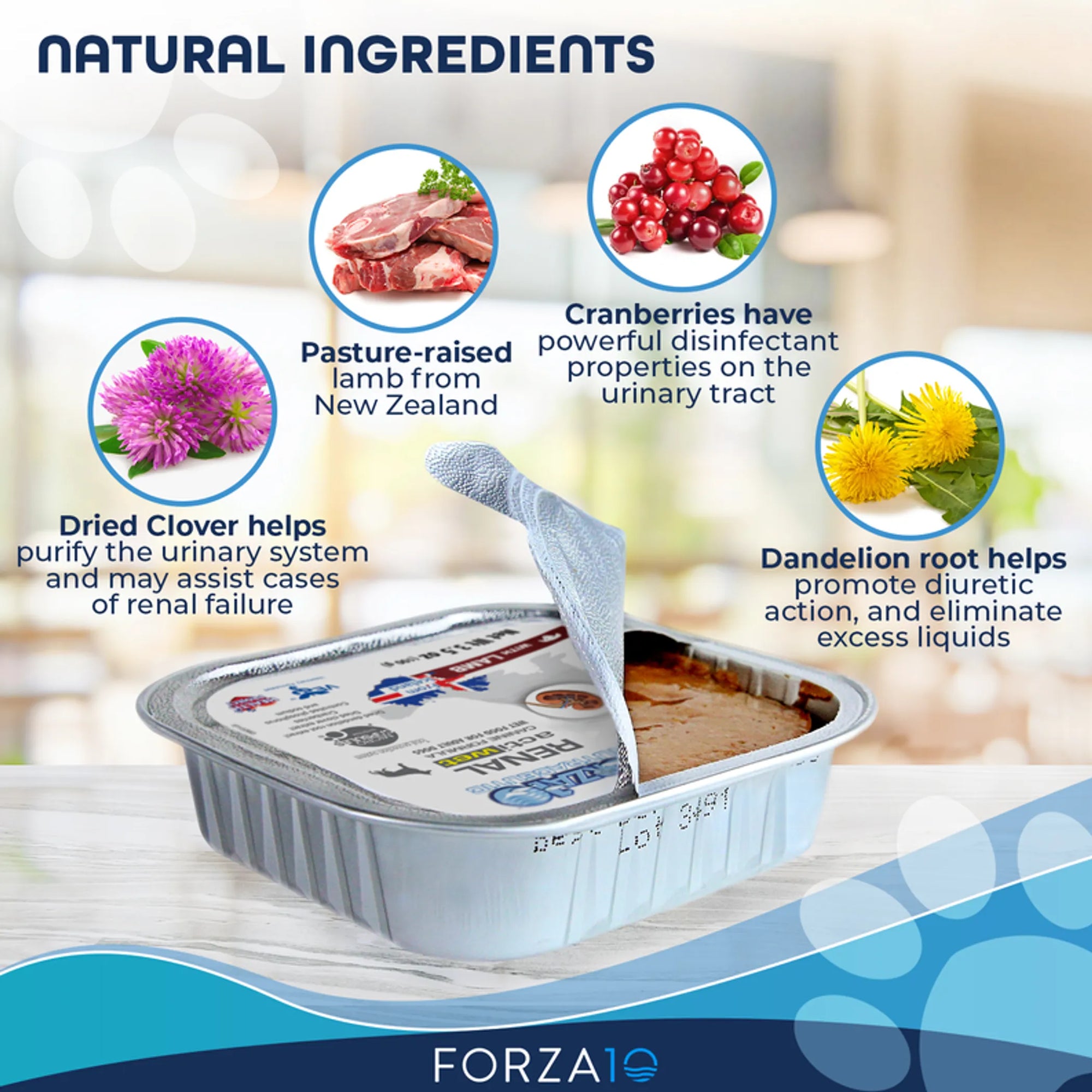 4APAWS™Forza10 Actiwet Renal Support Canned Dog Food