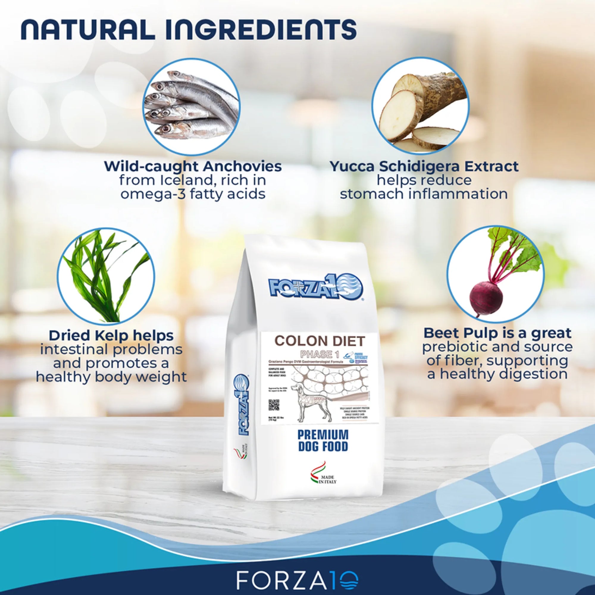 4APAWS™Forza10 Active Colon Support Diet Phase 1 Dry Dog Food