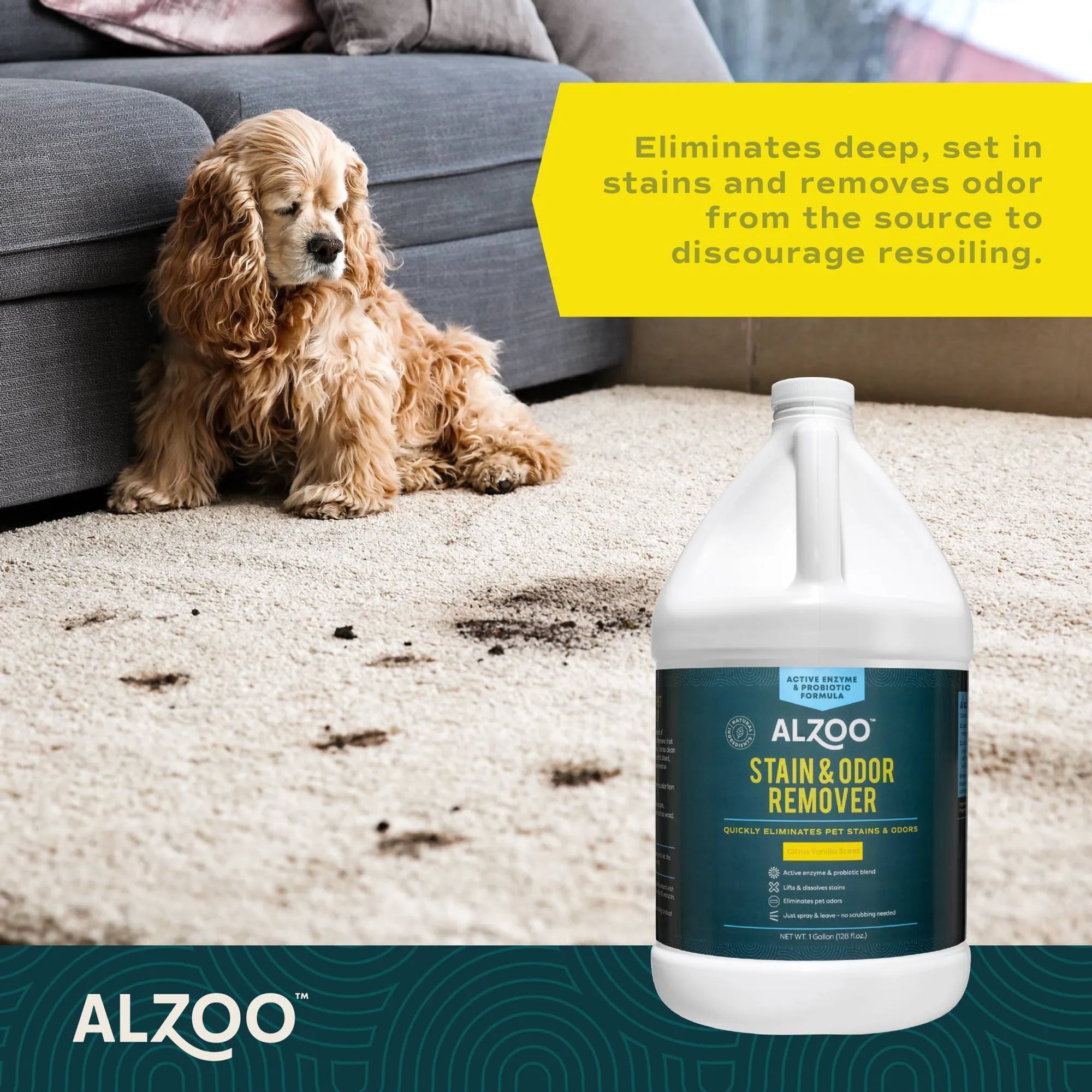 4APAWS™ALZOO Enzyme Stain & Odor Remover Citrus Vanilla, 16oz