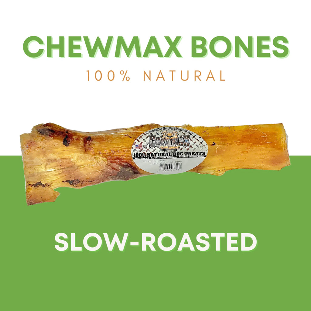 4APAWS™10" Beef Back Strap Dog Bone