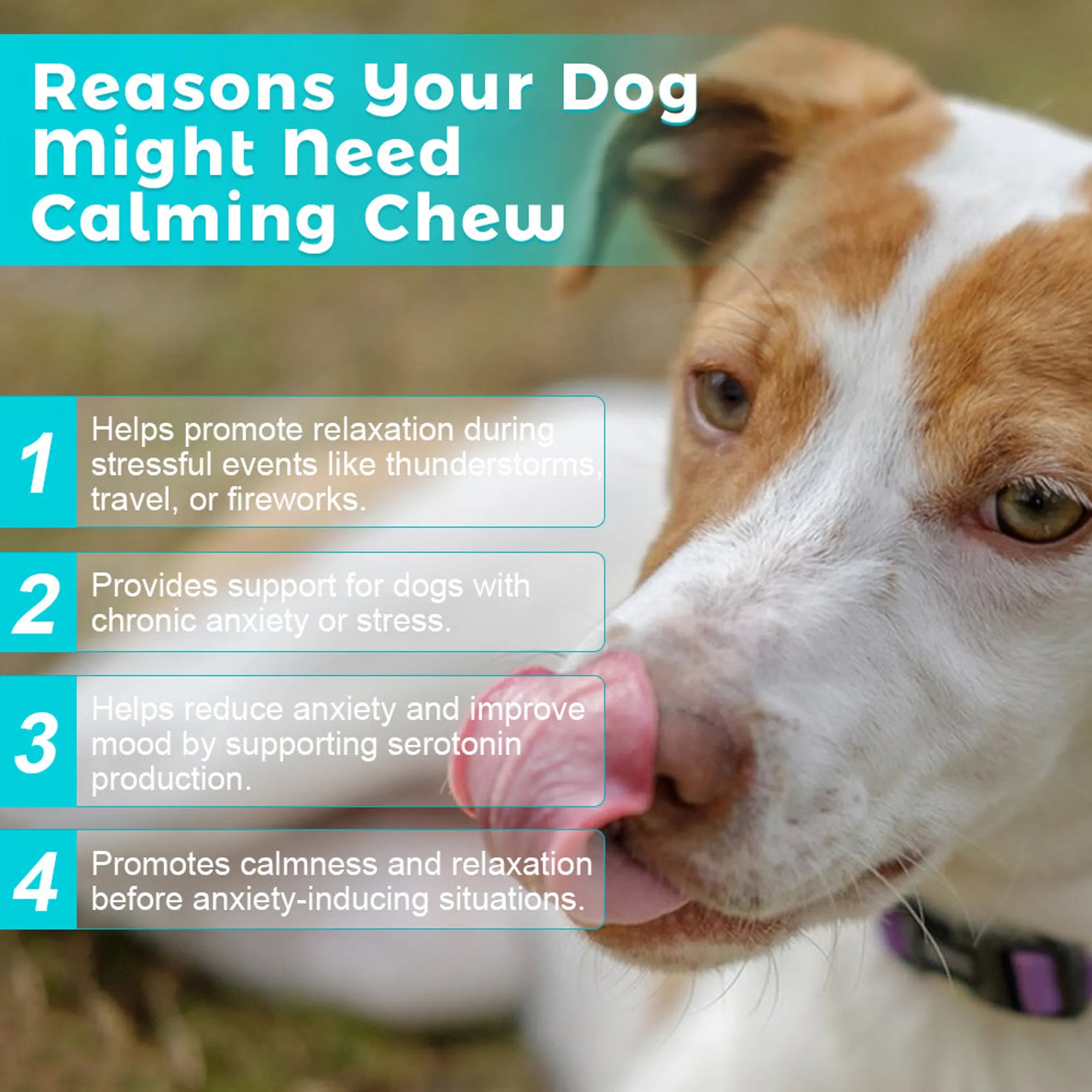 4APAWS™Calming Chew - 30 Chews