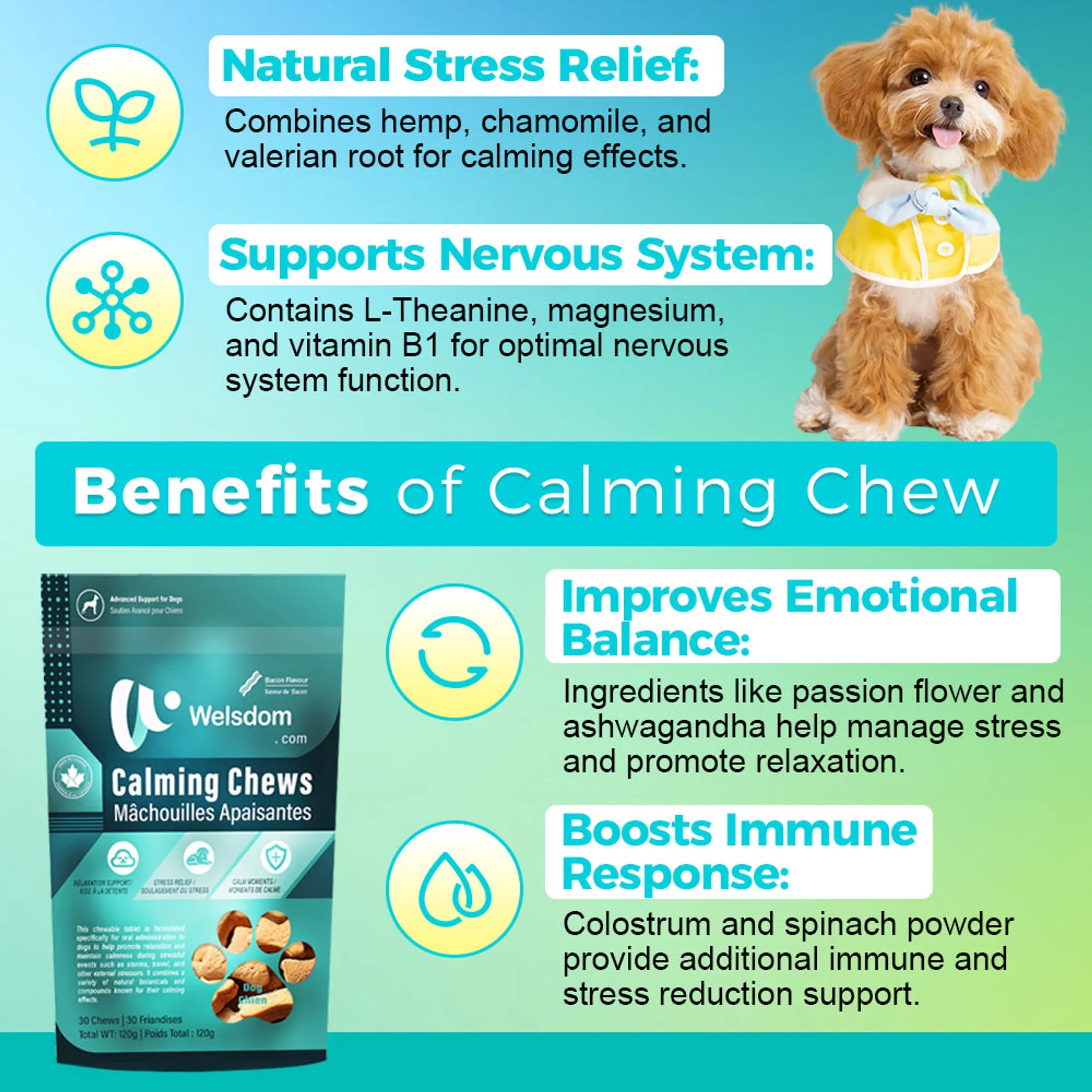 4APAWS™Calming Chew - 30 Chews