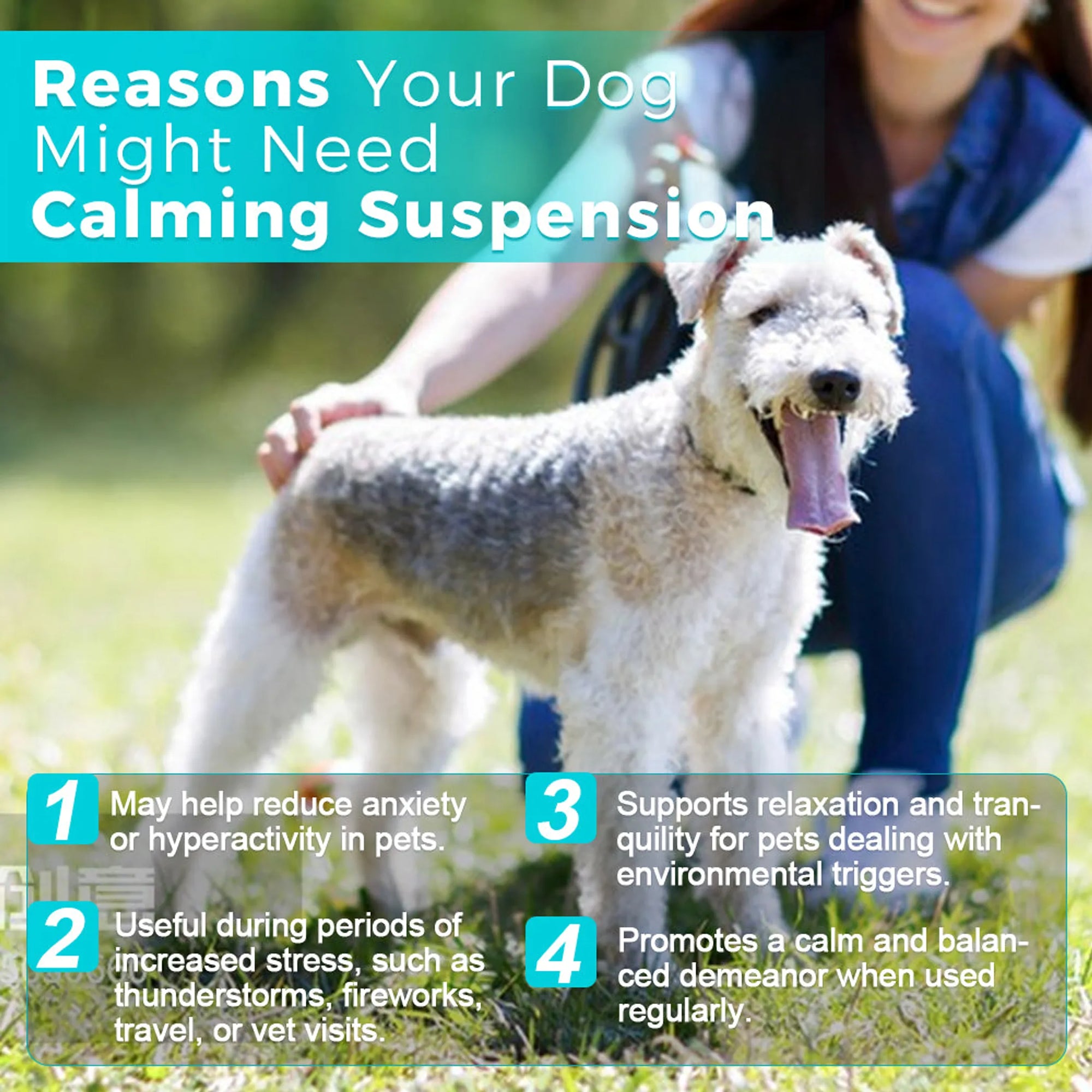 4APAWS™Paws & Calm! Canadian Calming Comfort Drops 60mL