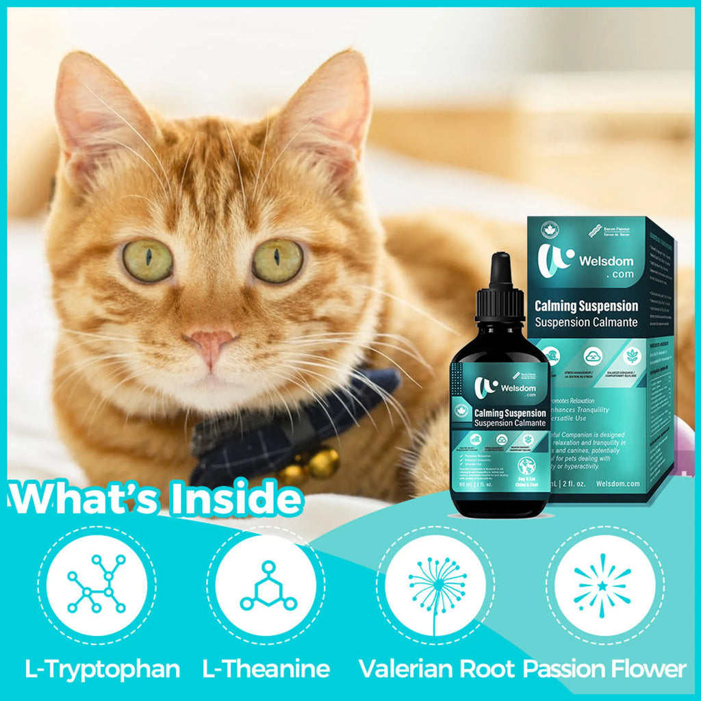 4APAWS™Paws & Calm! Canadian Calming Comfort Drops 60mL