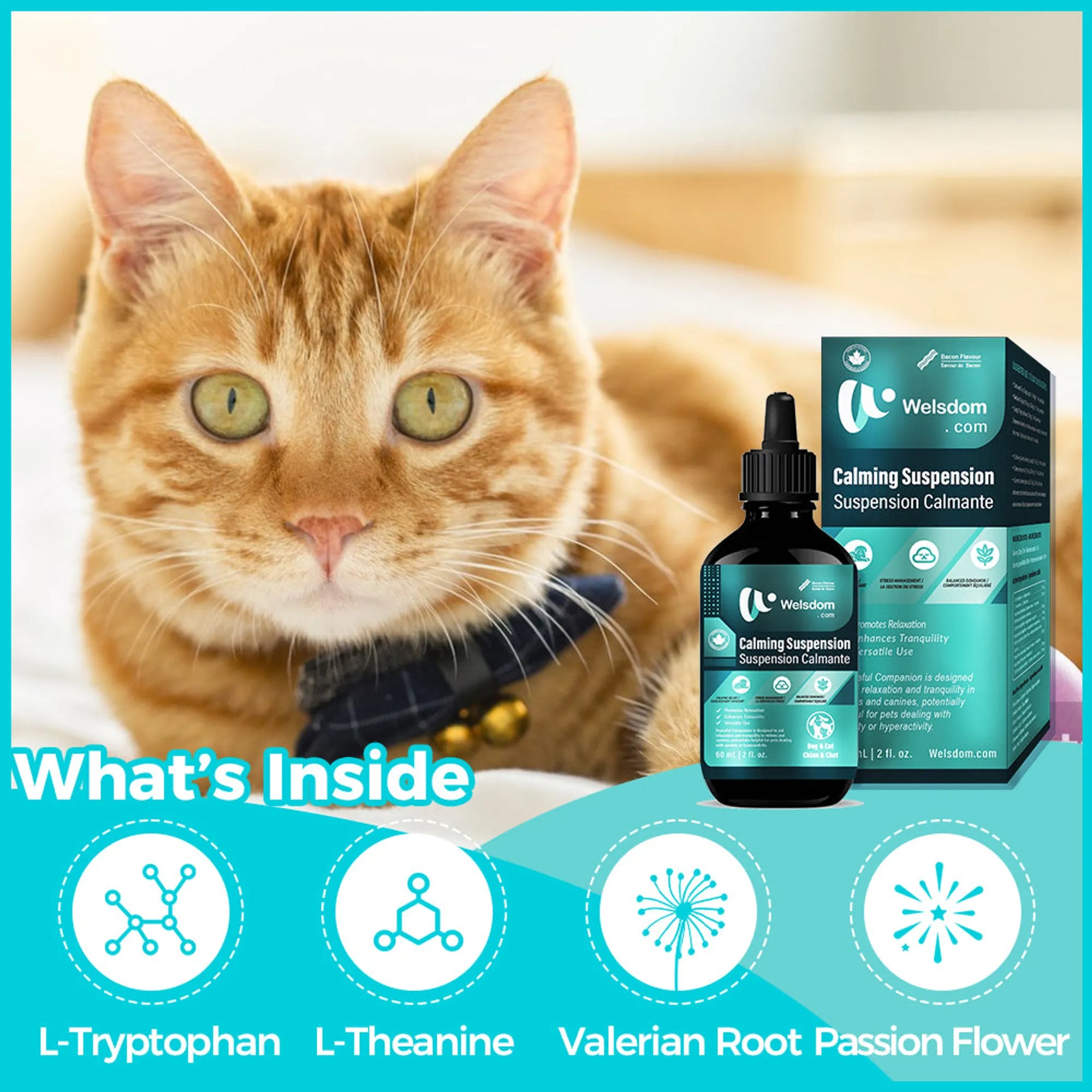 4APAWS™Paws & Calm! Canadian Calming Comfort Drops 60mL
