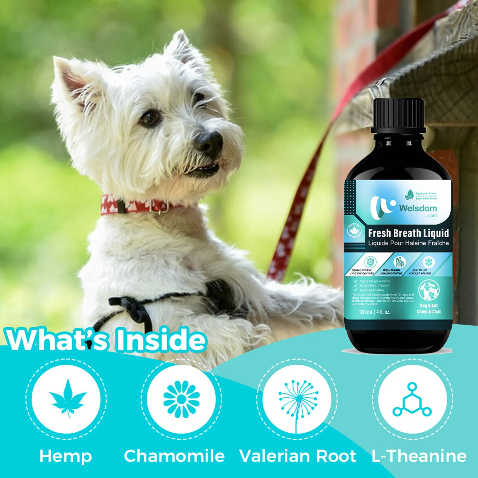 4APAWS™Fresh Breath Liquid Canadian Dental Water Additive (120mL)