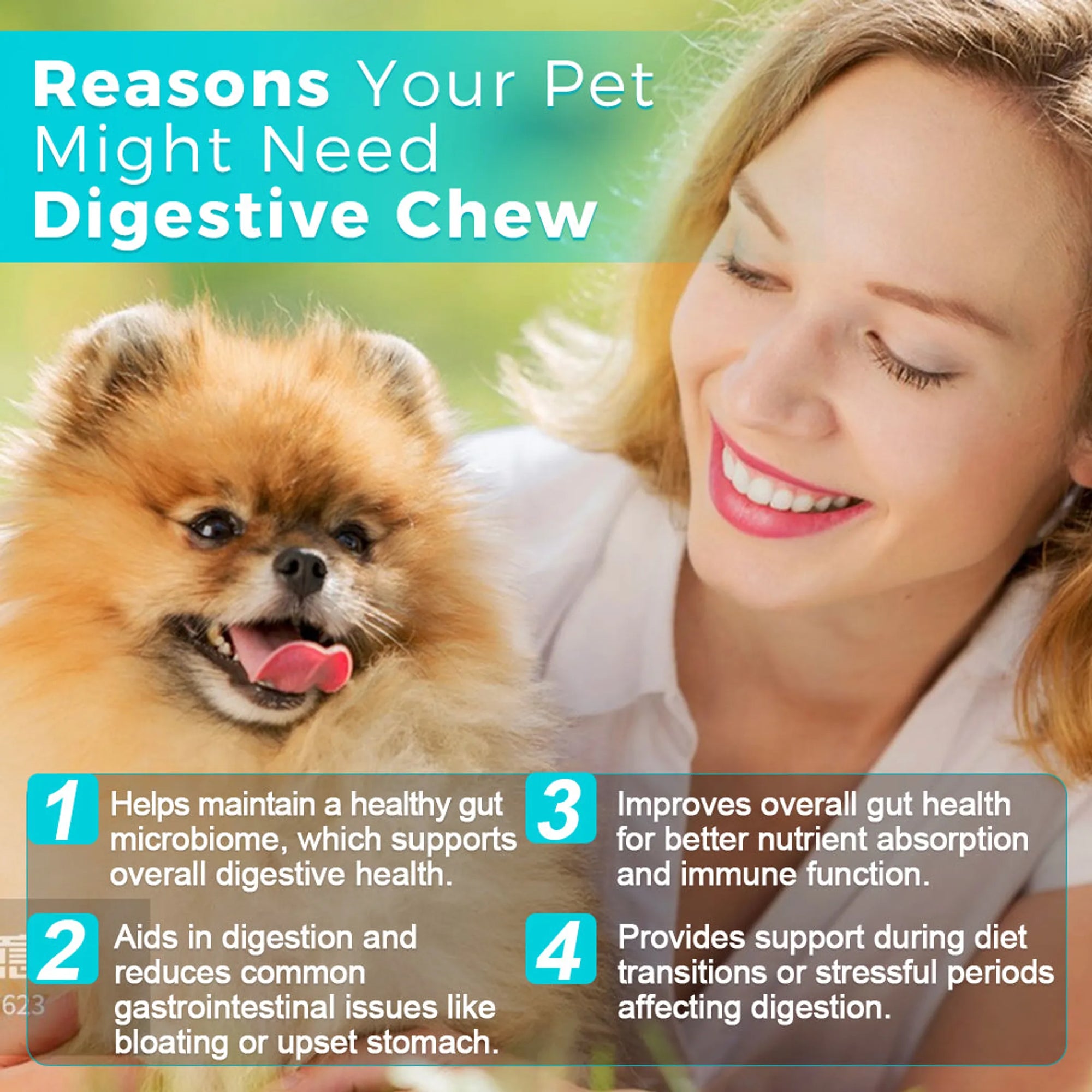 4APAWS™Digestive Chews - 30 Chews