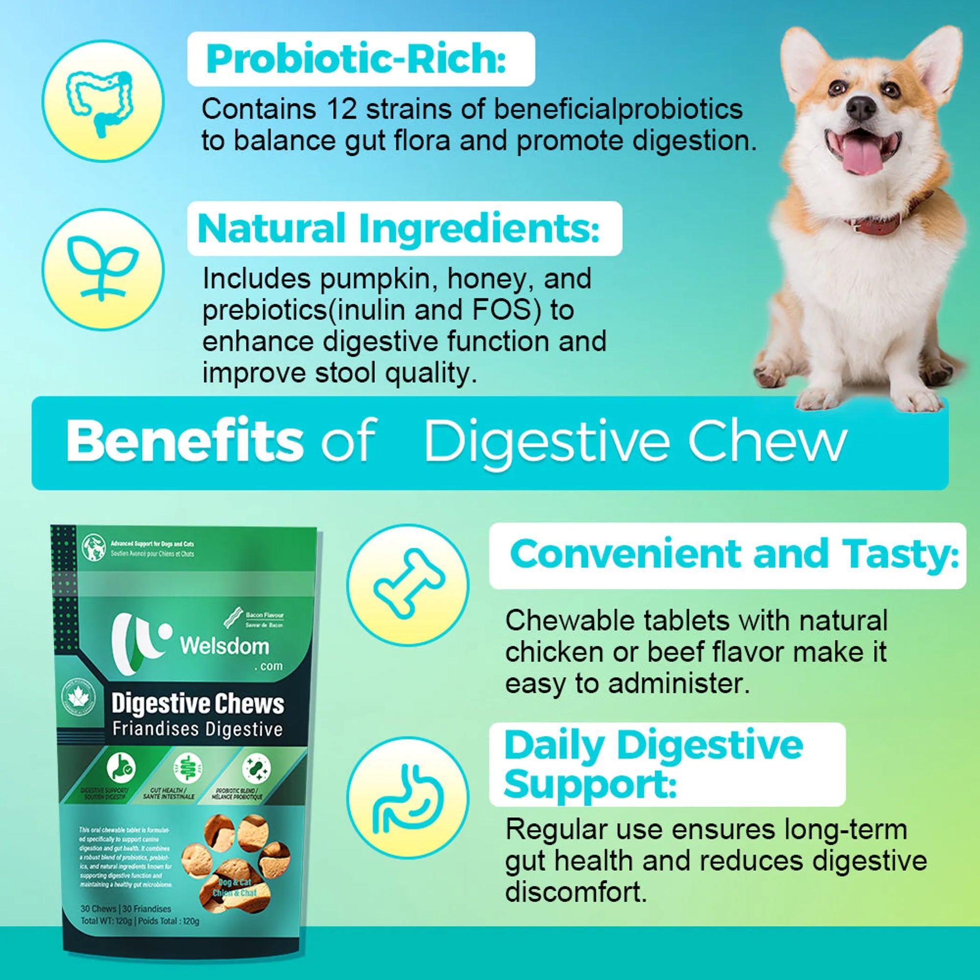 4APAWS™Digestive Chews - 30 Chews