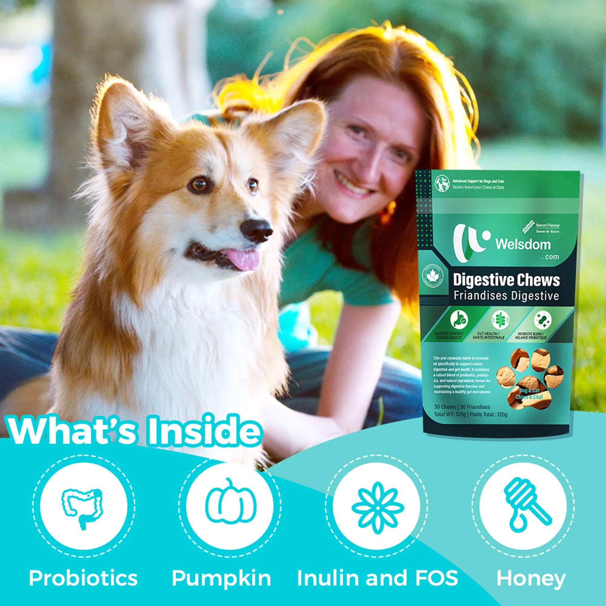 4APAWS™Digestive Chews - 30 Chews
