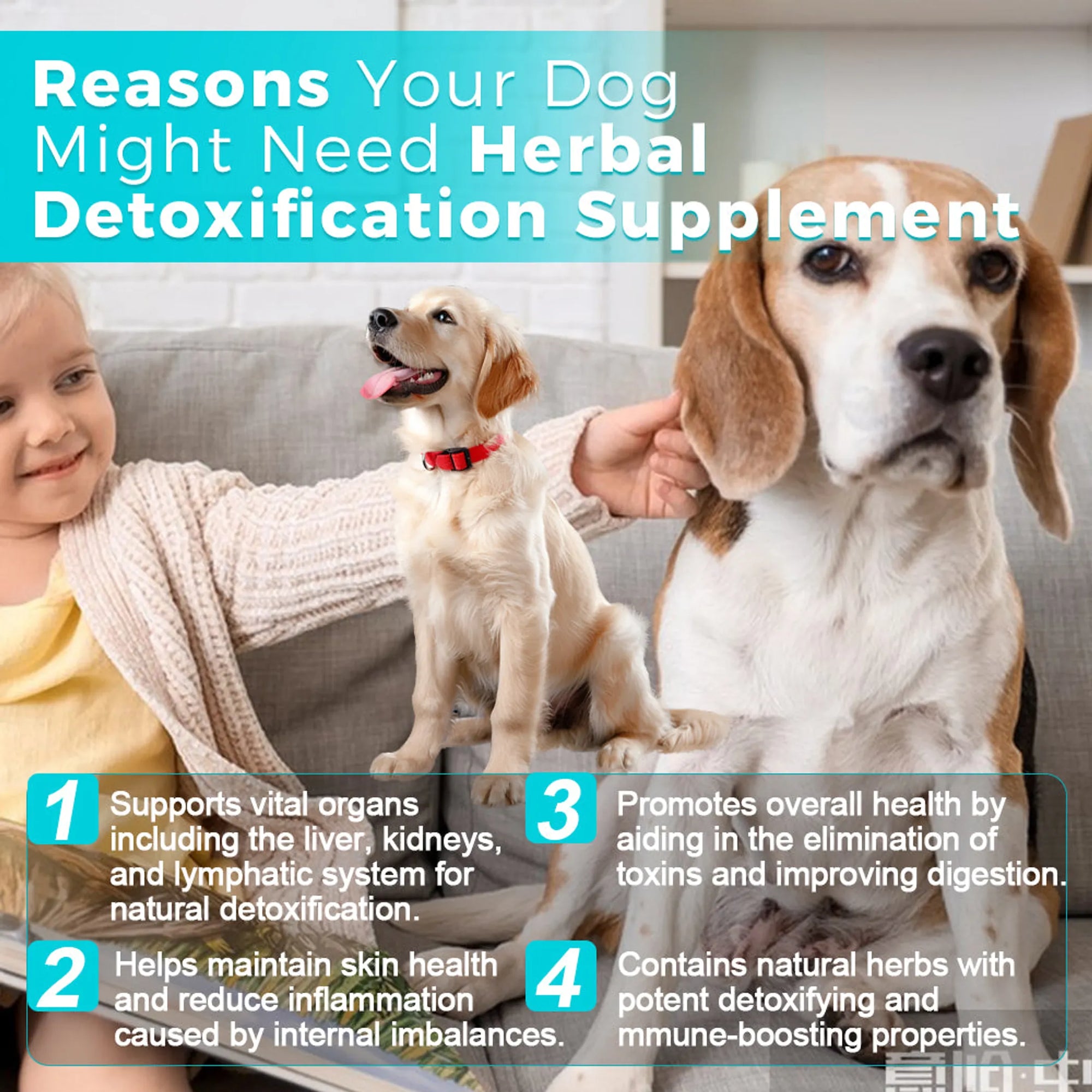 4APAWS™Detoxification Supplement Suspension - 30mL