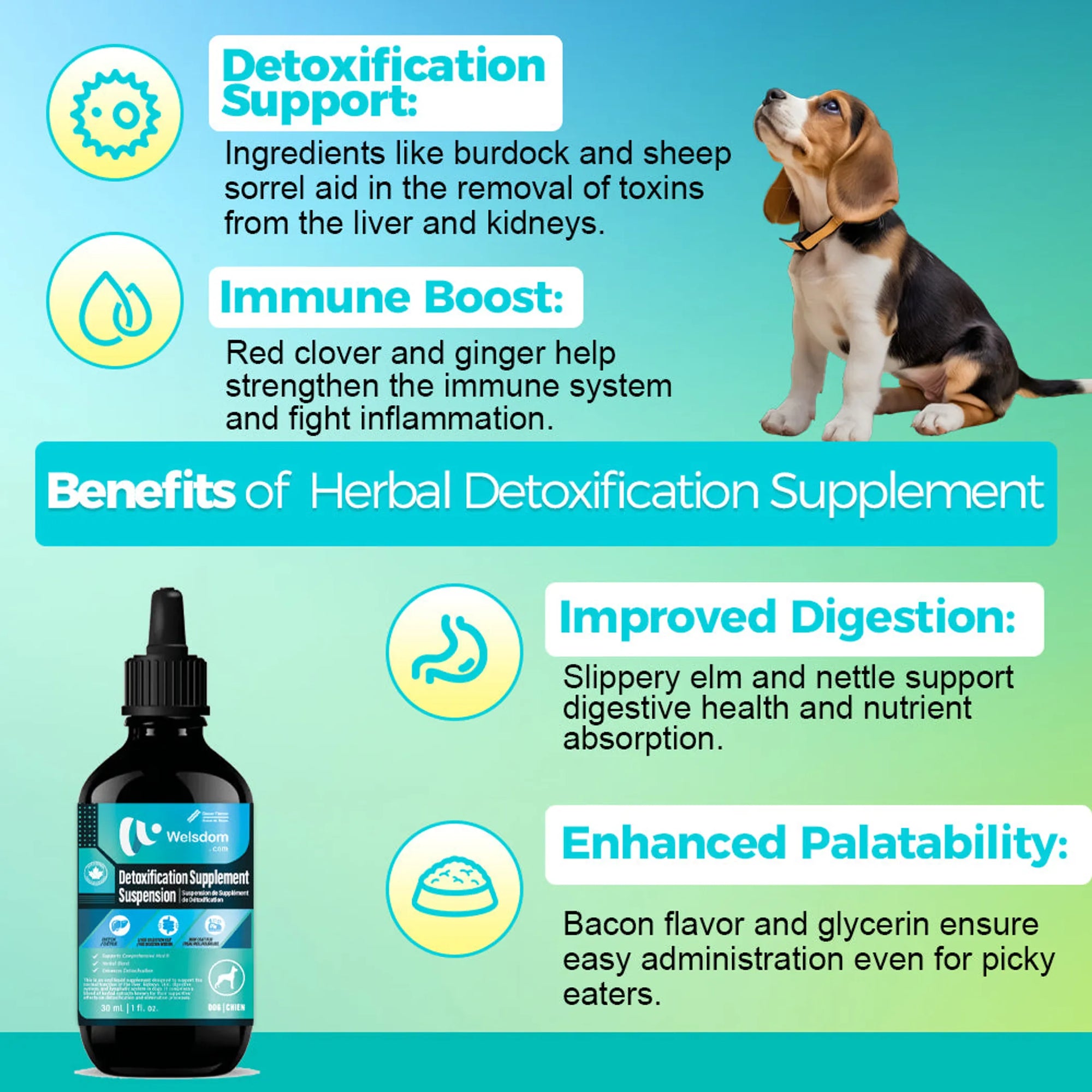 4APAWS™Detoxification Supplement Suspension - 30mL