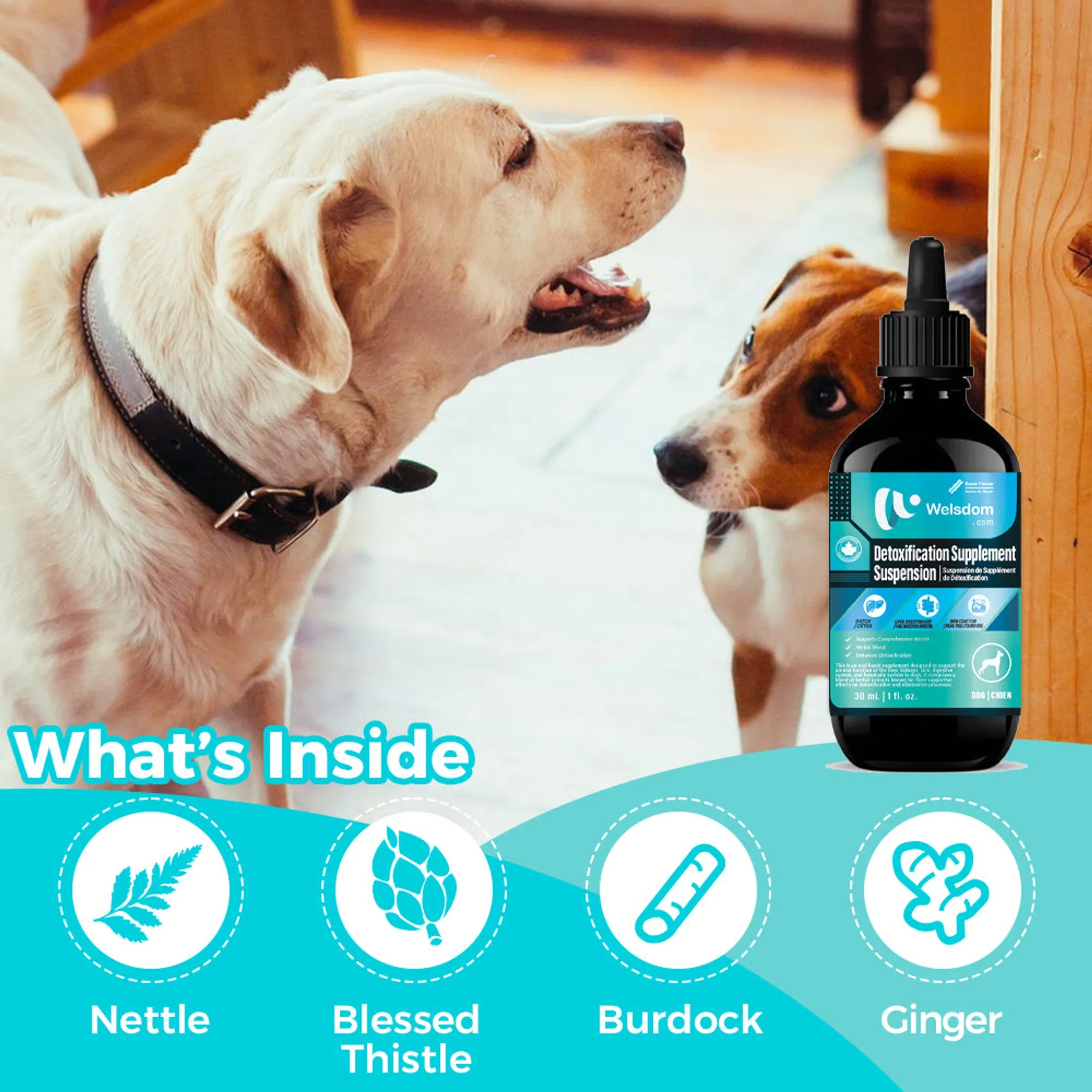 4APAWS™Detoxification Supplement Suspension - 30mL