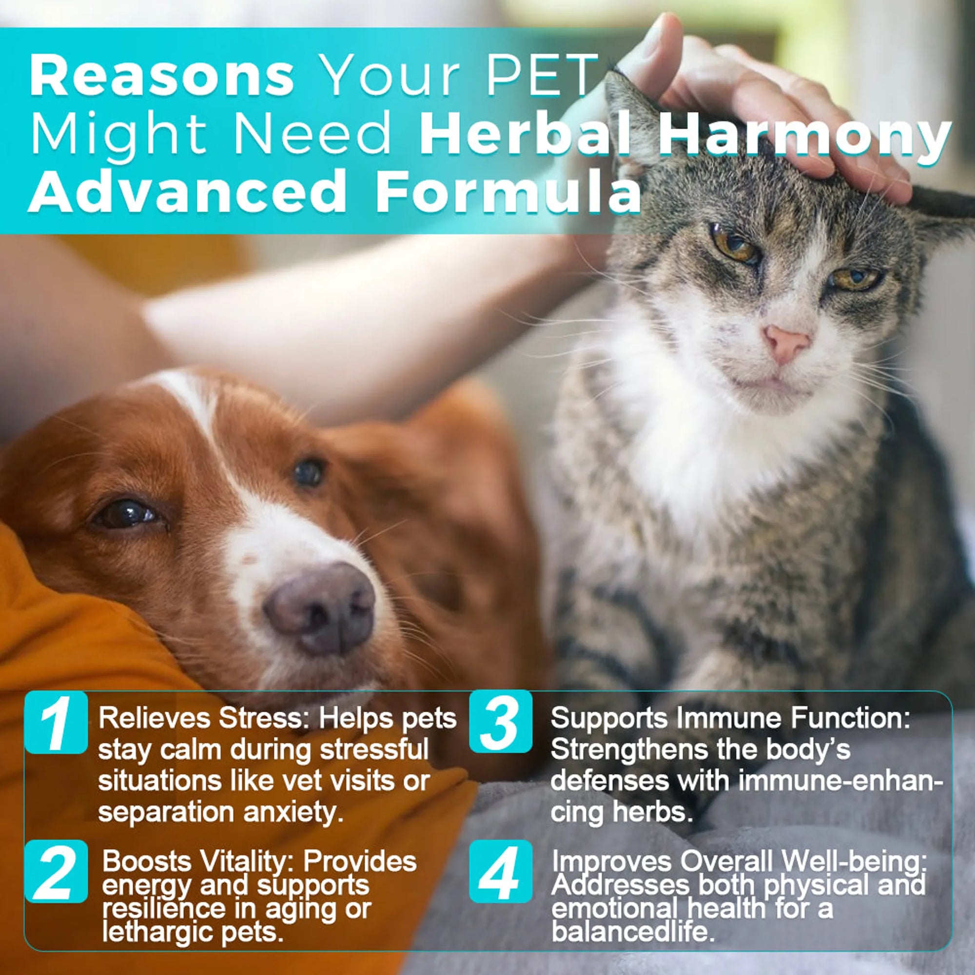4APAWS™Herbal Harmony Advanced Suspension - 30mL