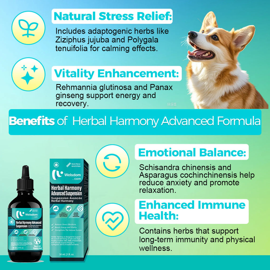 4APAWS™Herbal Harmony Advanced Suspension - 30mL