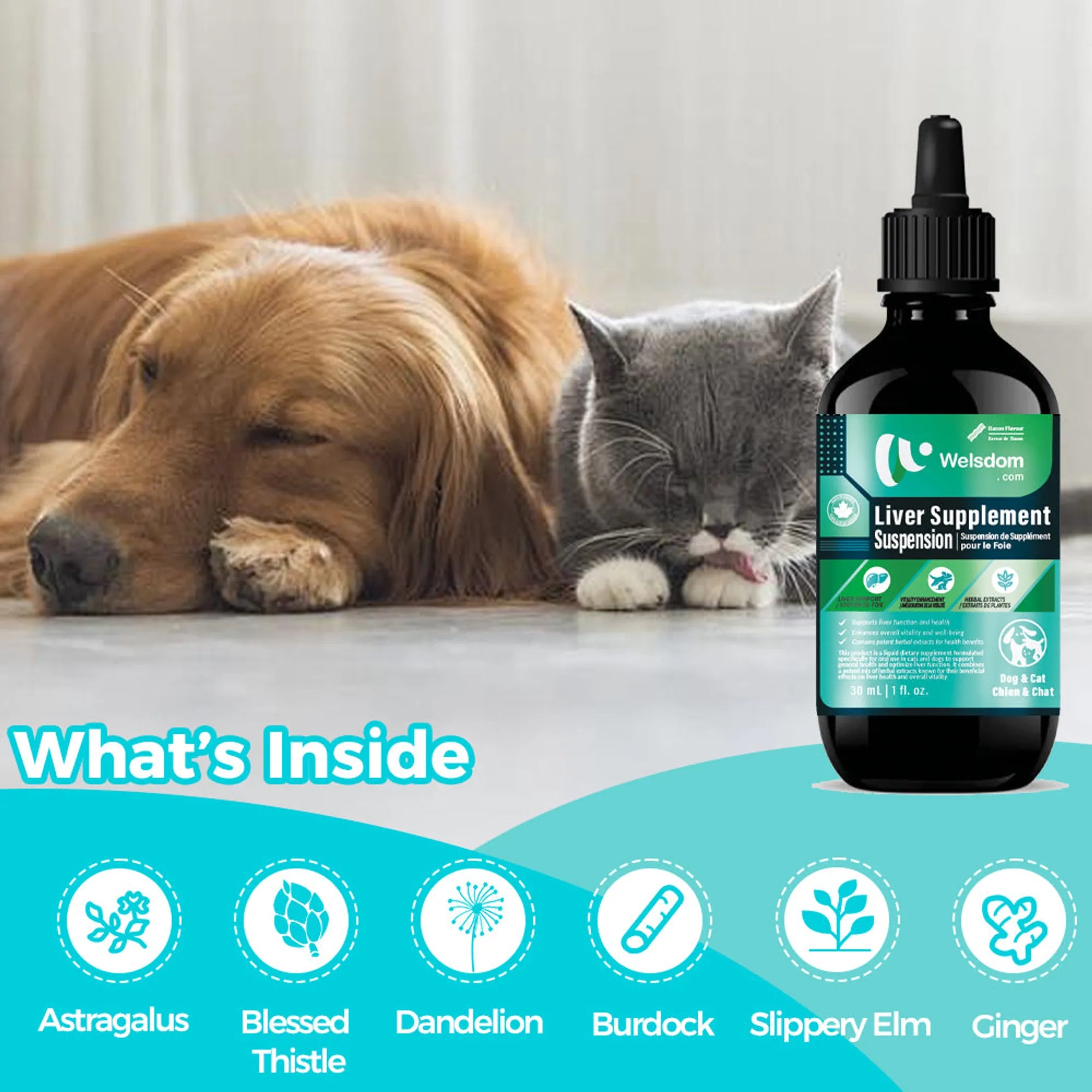 4APAWS™Liver Supplement Suspension - 30mL
