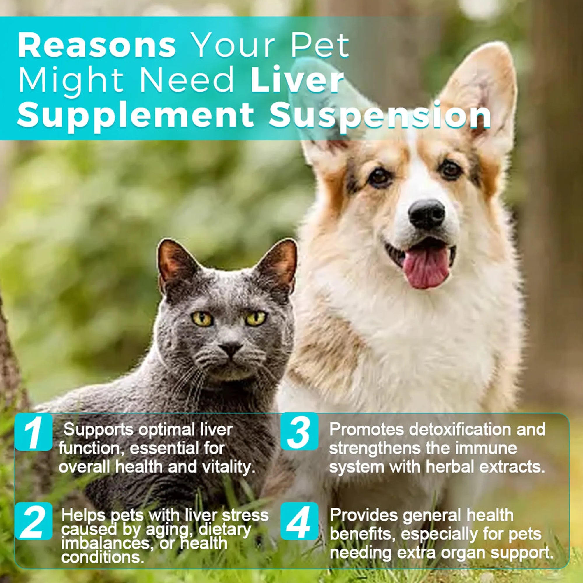 4APAWS™Liver Supplement Suspension - 30mL
