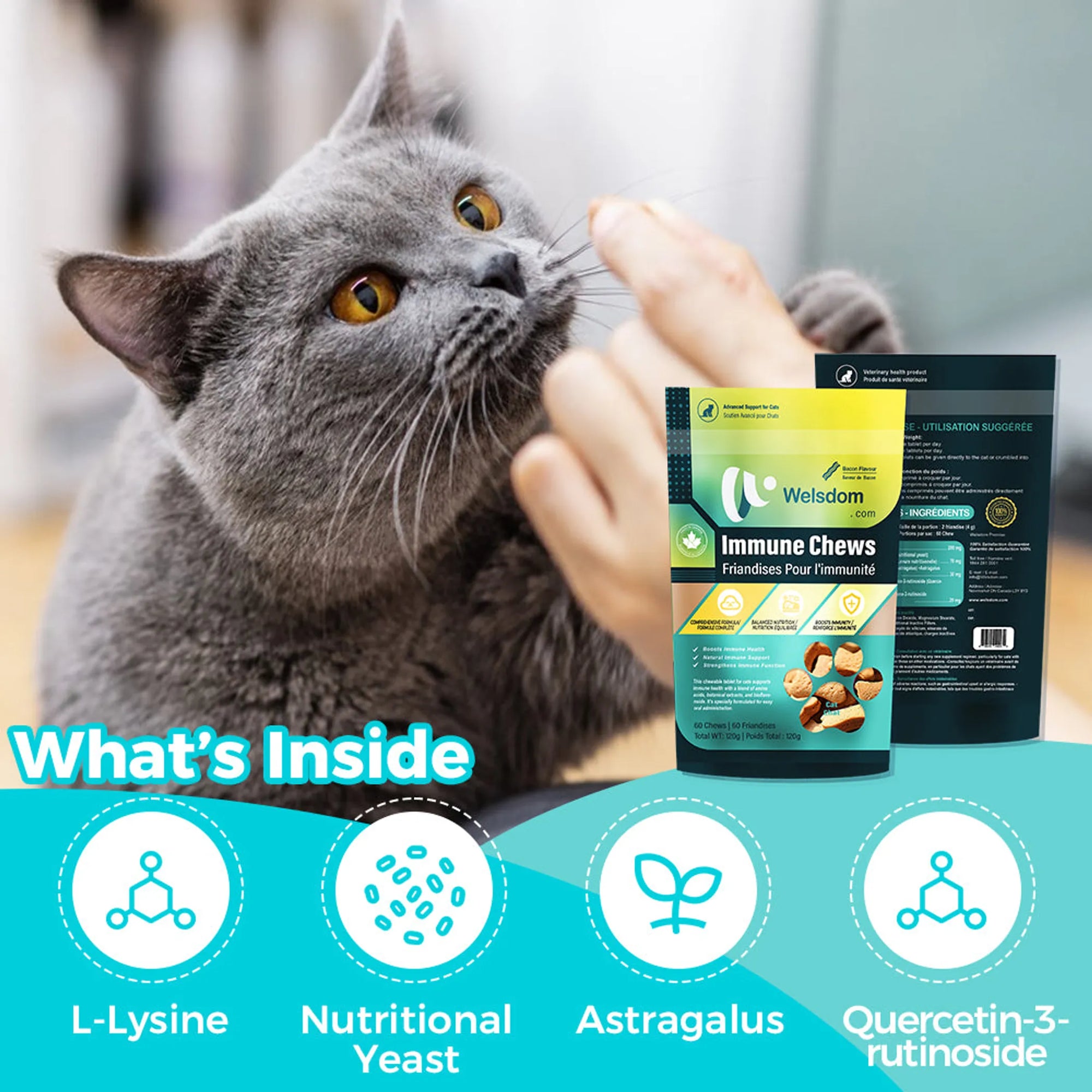 4APAWS™Cat Immune Chews - 60 Chews