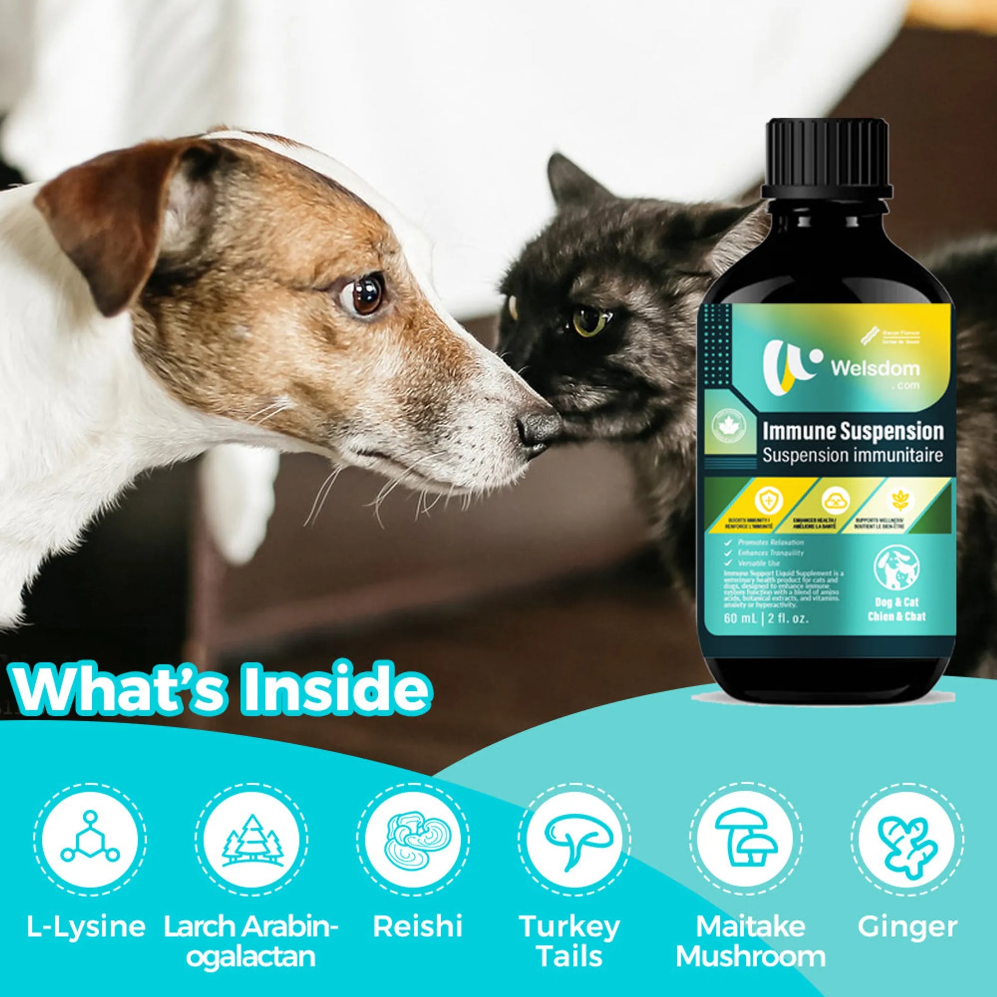 4APAWS™Immune Suspension Canadian Vet-Approved Liquid (60mL)