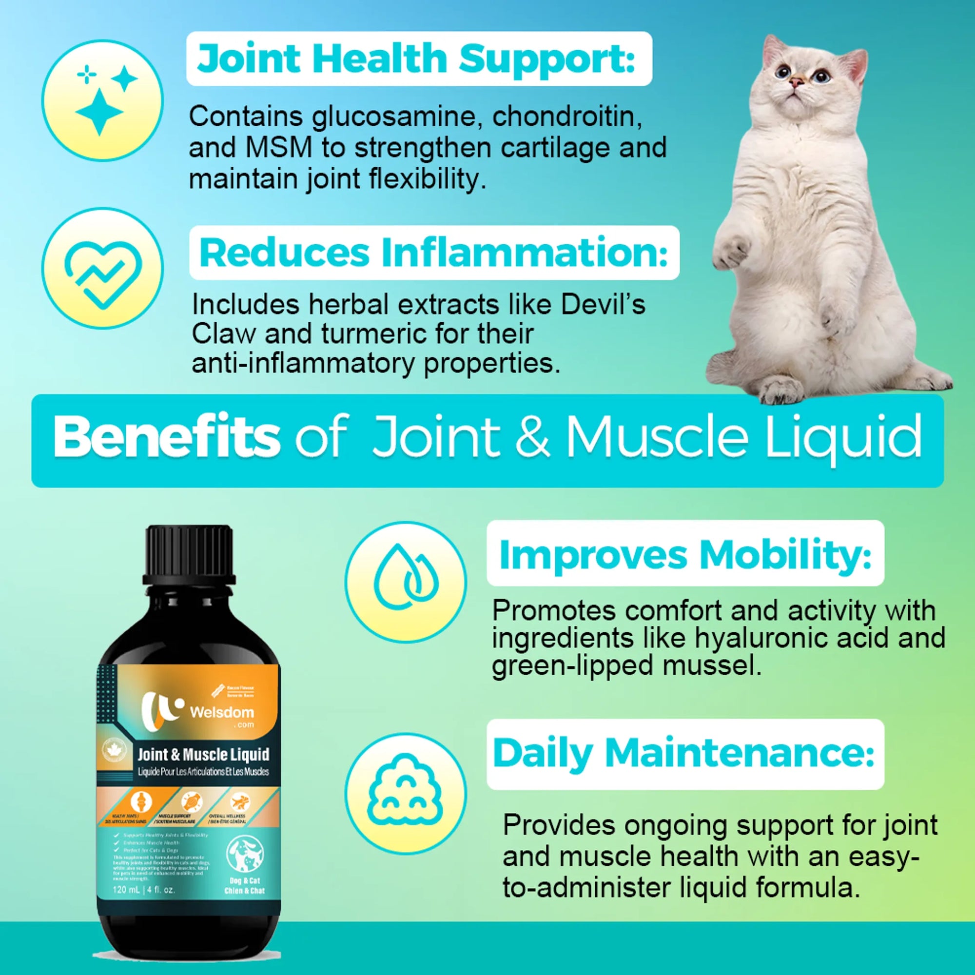 4APAWS™Joint & Muscle Liquid - 120mL