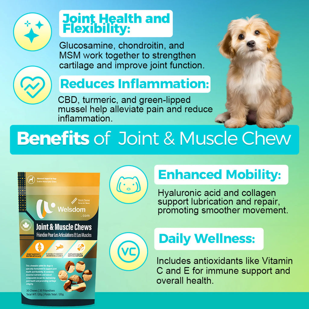 4APAWS™Joint & Muscle Chew - 30 Chews