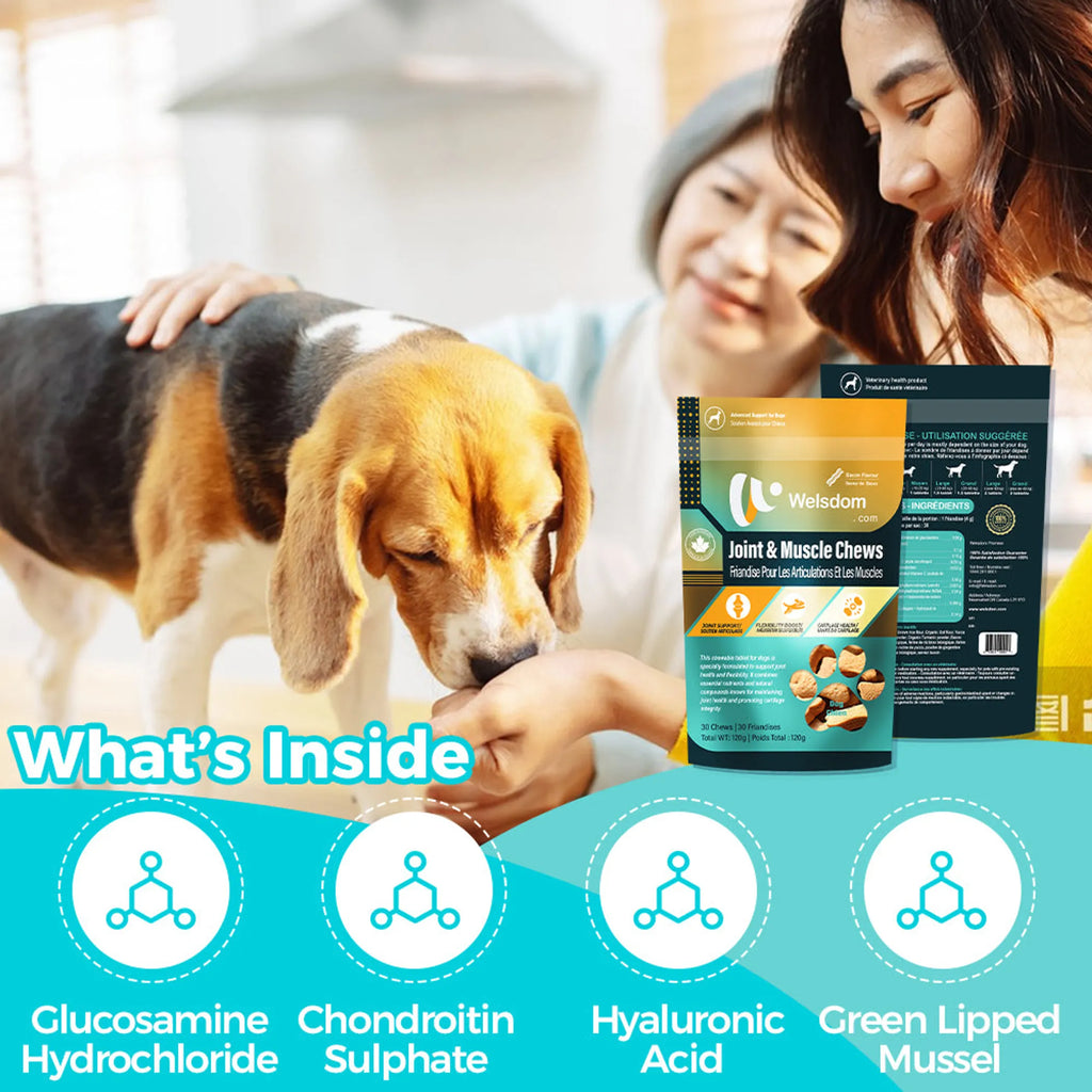 4APAWS™Joint & Muscle Chew - 30 Chews