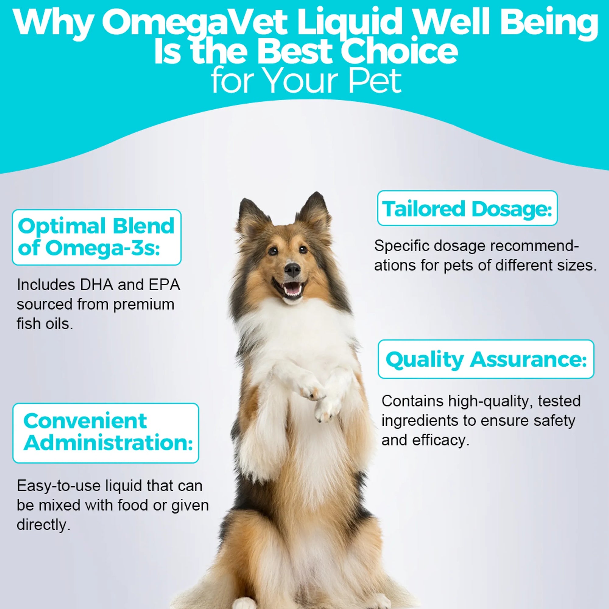 4APAWS™Omegavet Well Being Oil - 30mL