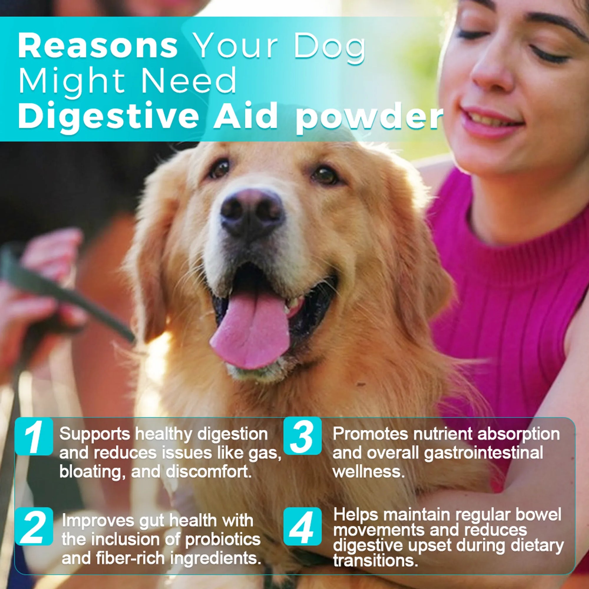 4APAWS™Dog Digestive Aid Powder
