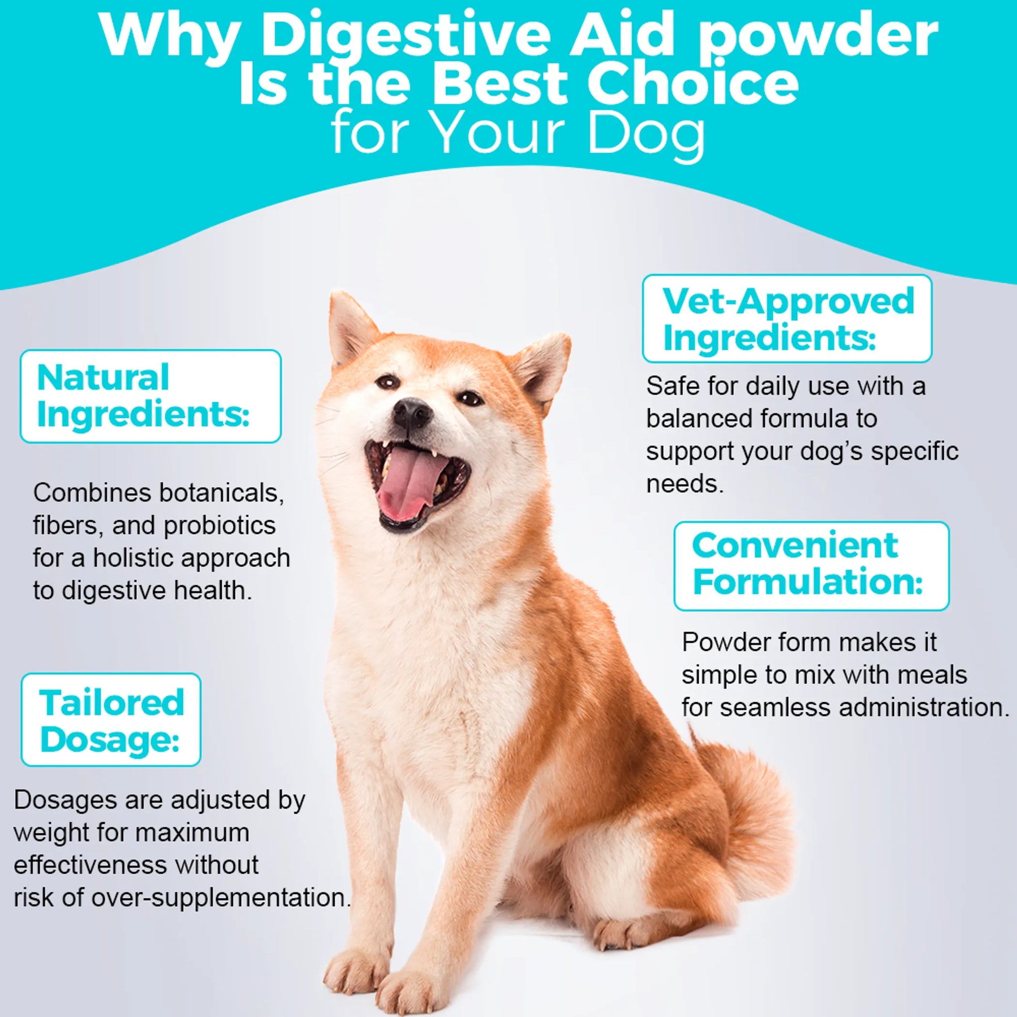 4APAWS™Dog Digestive Aid Powder