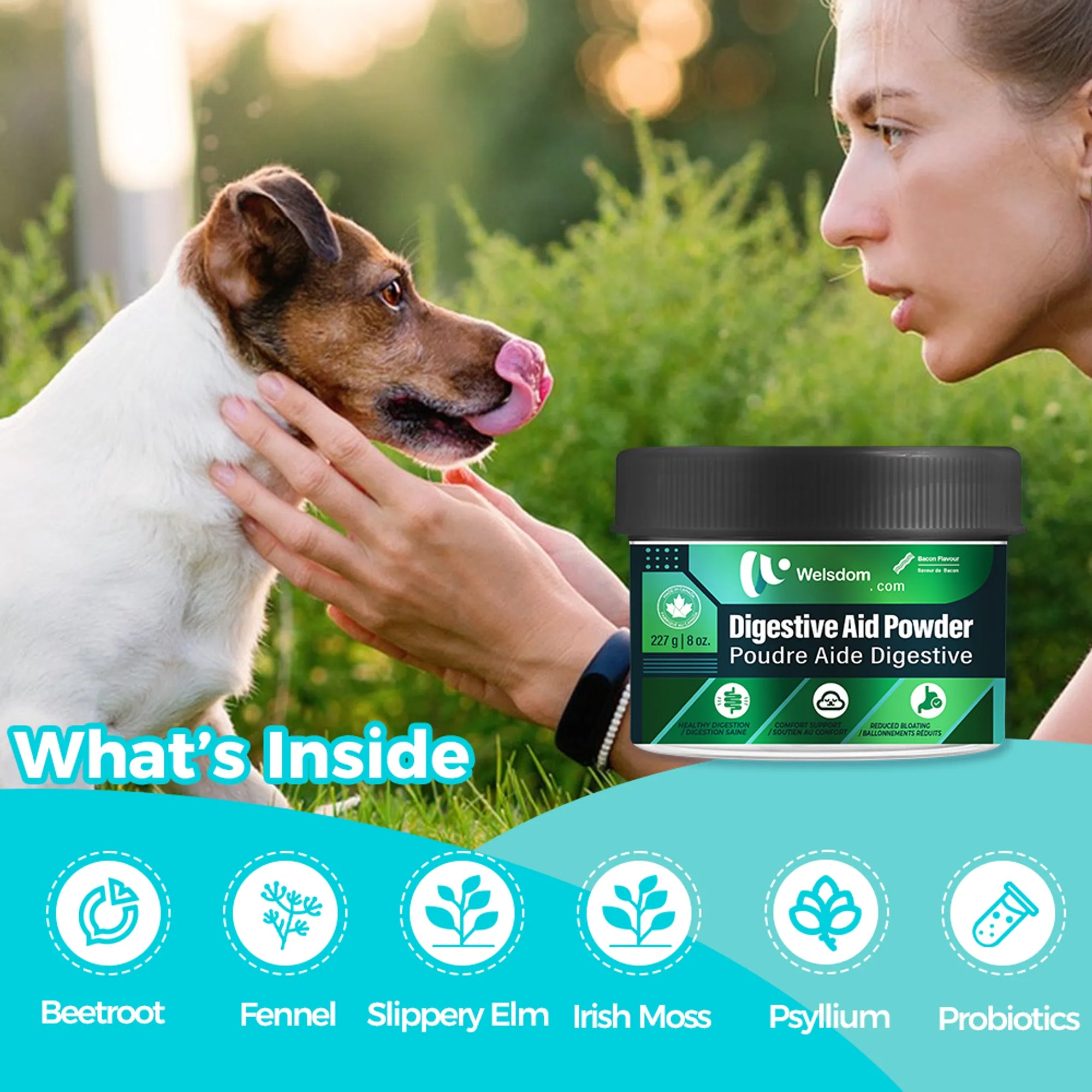4APAWS™Dog Digestive Aid Powder