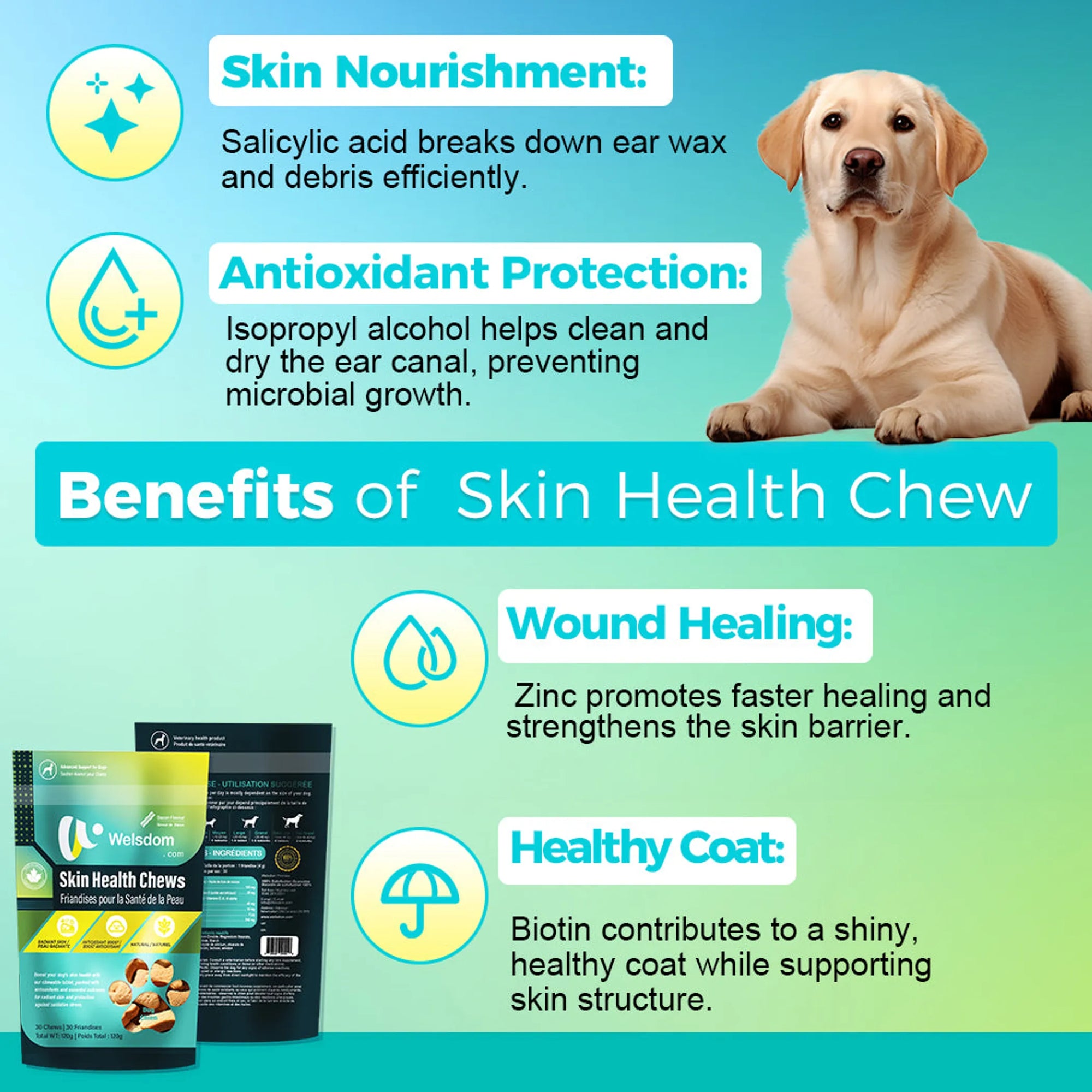4APAWS™Skin Health Chews for Dogs Omega-3 & Antioxidant Support (30 Soft Chews)