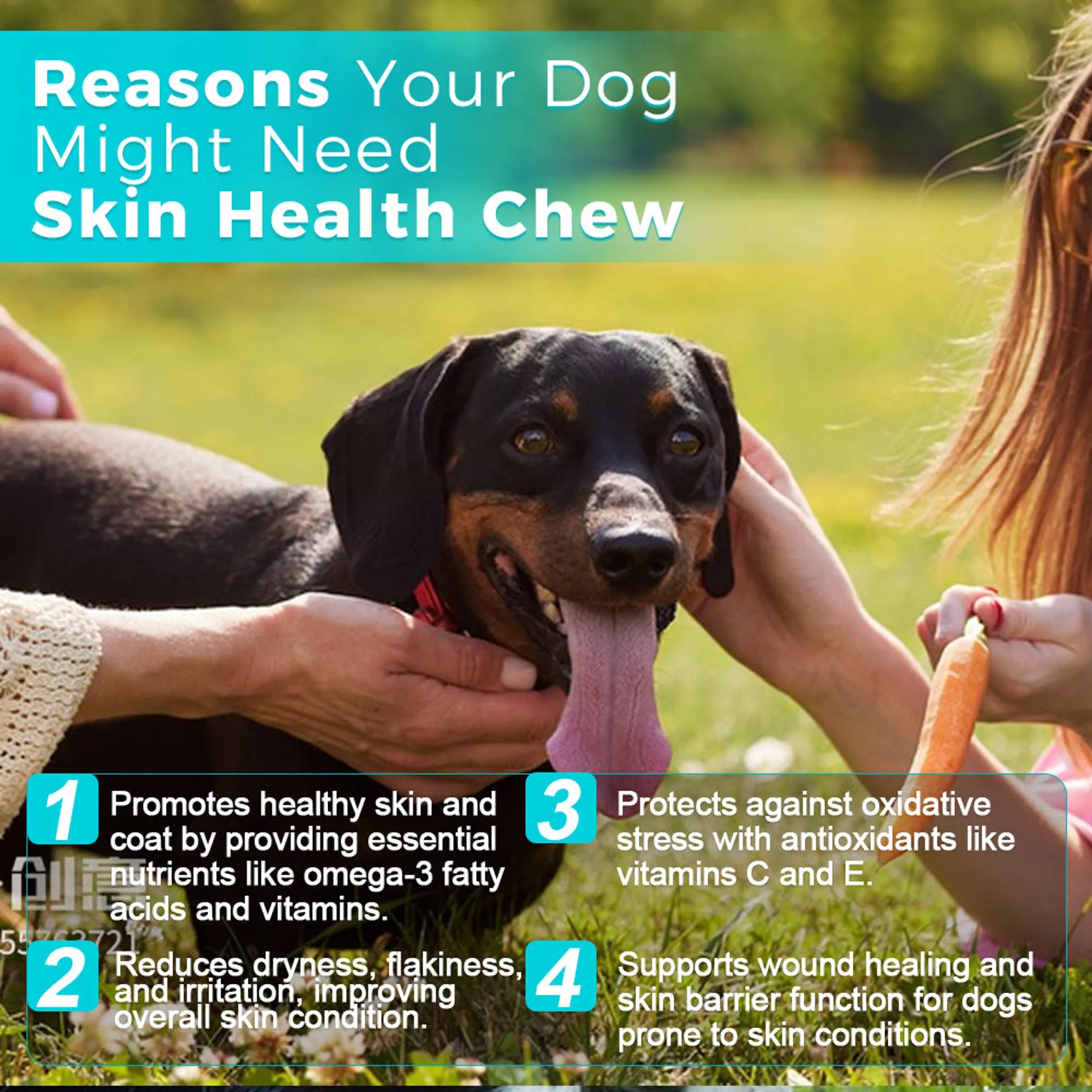 4APAWS™Skin Health Chews for Dogs Omega-3 & Antioxidant Support (30 Soft Chews)