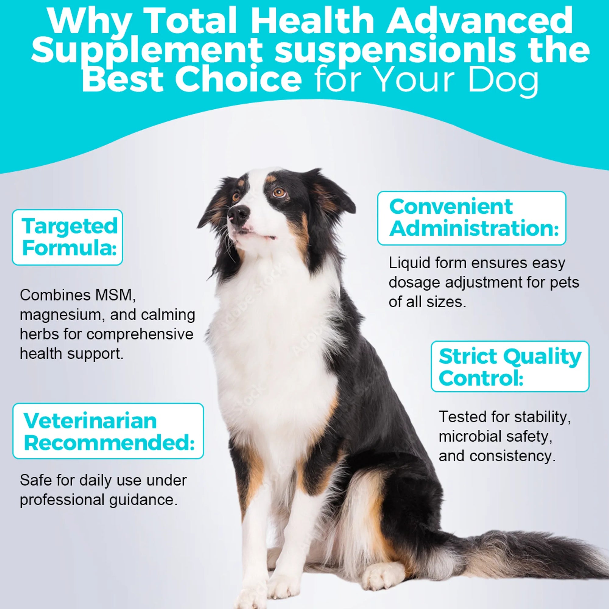 4APAWS™Total Health Advanced Supplement Suspension - 240mL