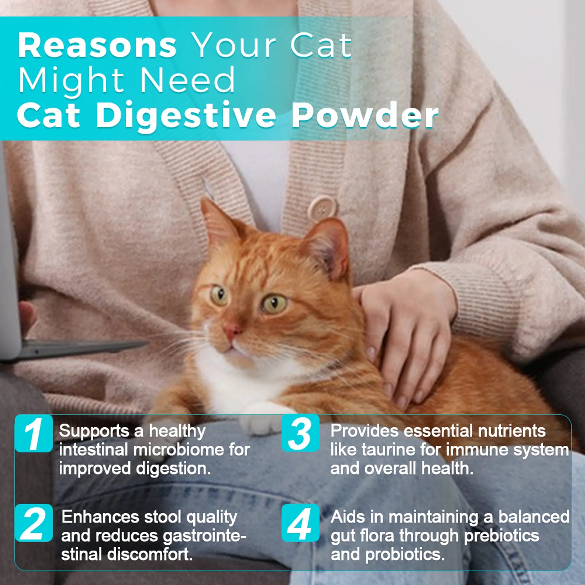 4APAWS™Cat Digestive Powder