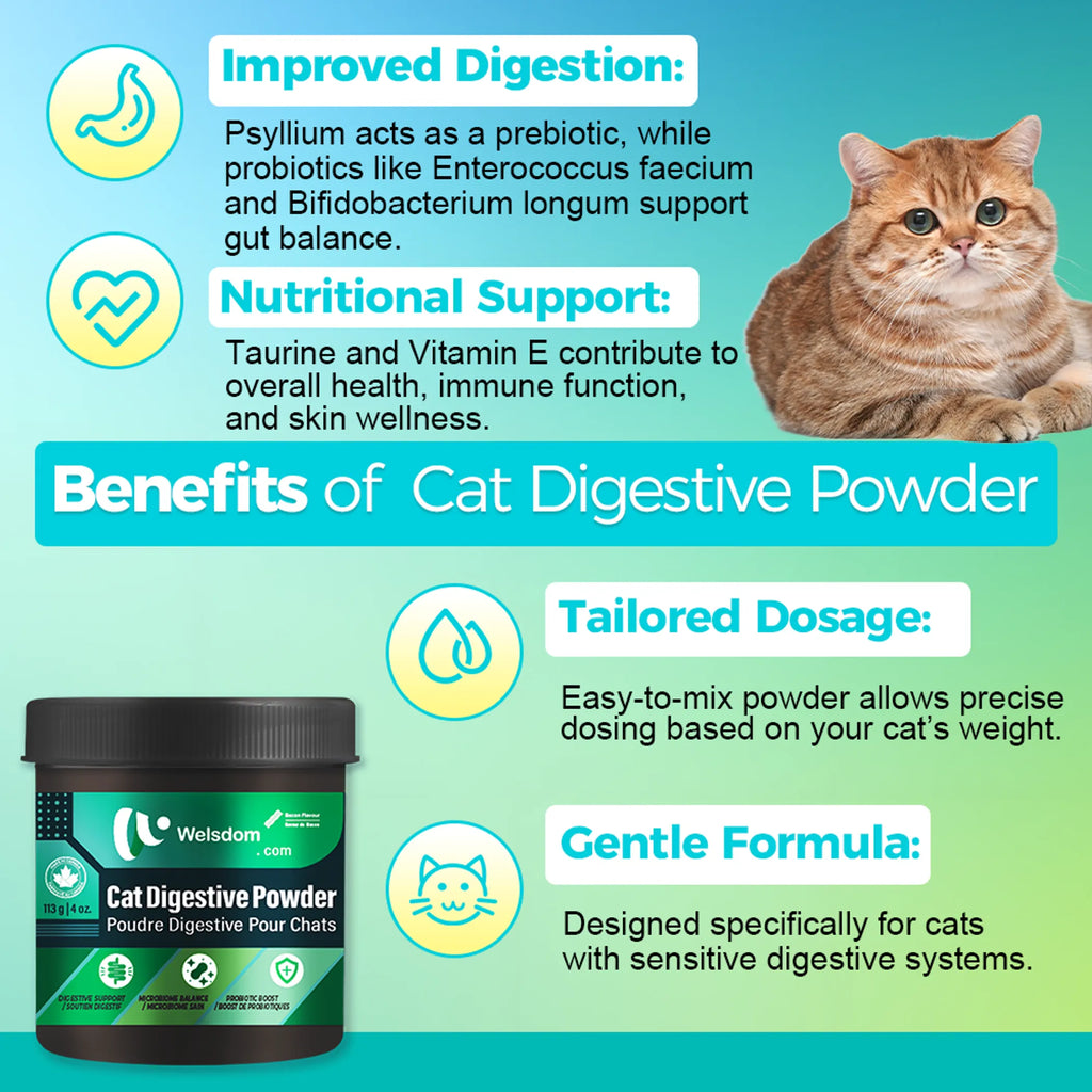 4APAWS™Cat Digestive Powder