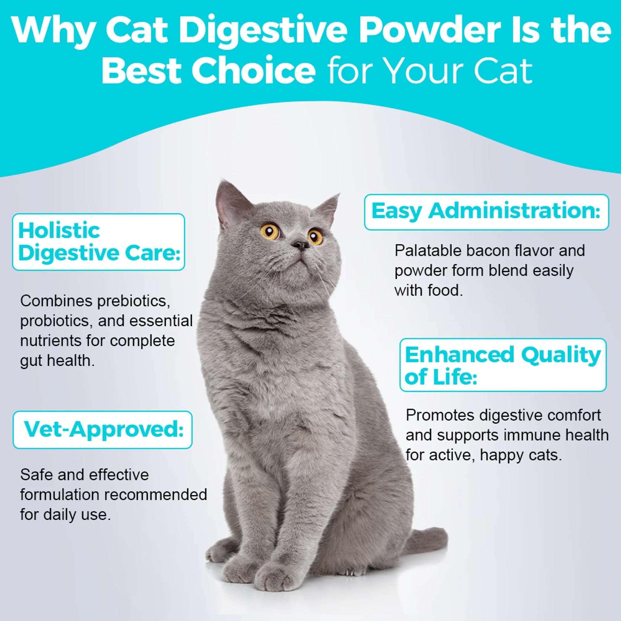4APAWS™Cat Digestive Powder