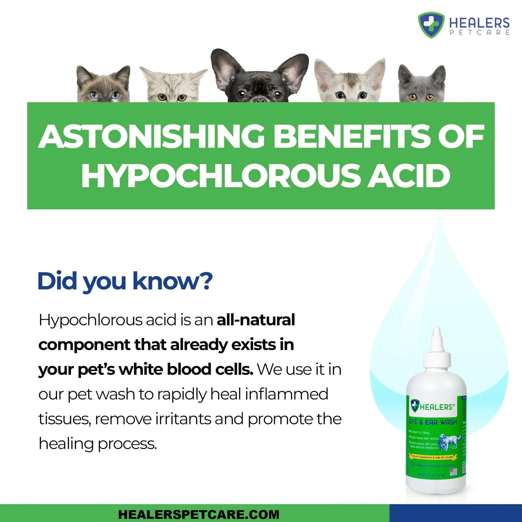 4APAWS™Healers Ear & Eye Wash Solution