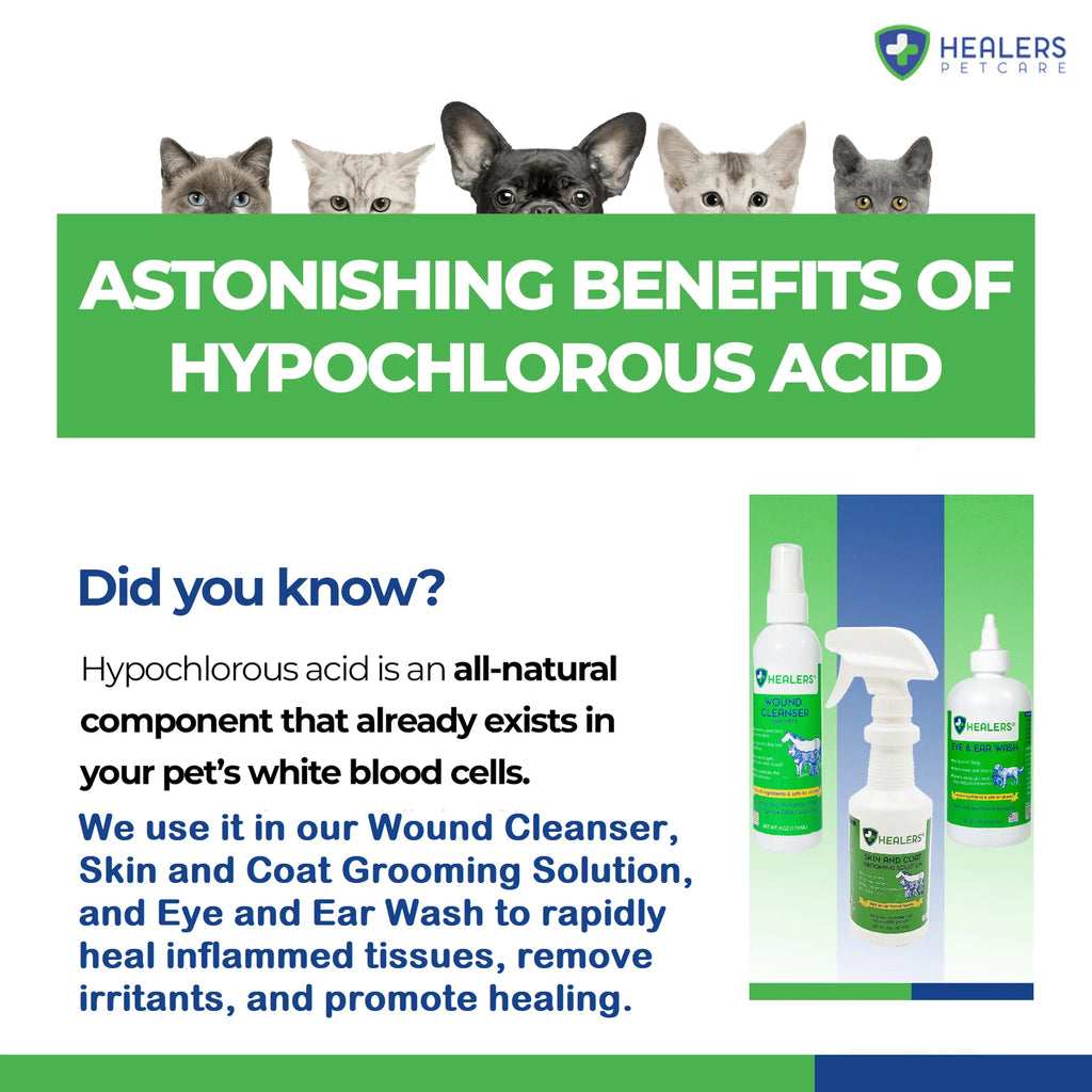 4APAWS™Healers Skin & Coat Grooming Solution